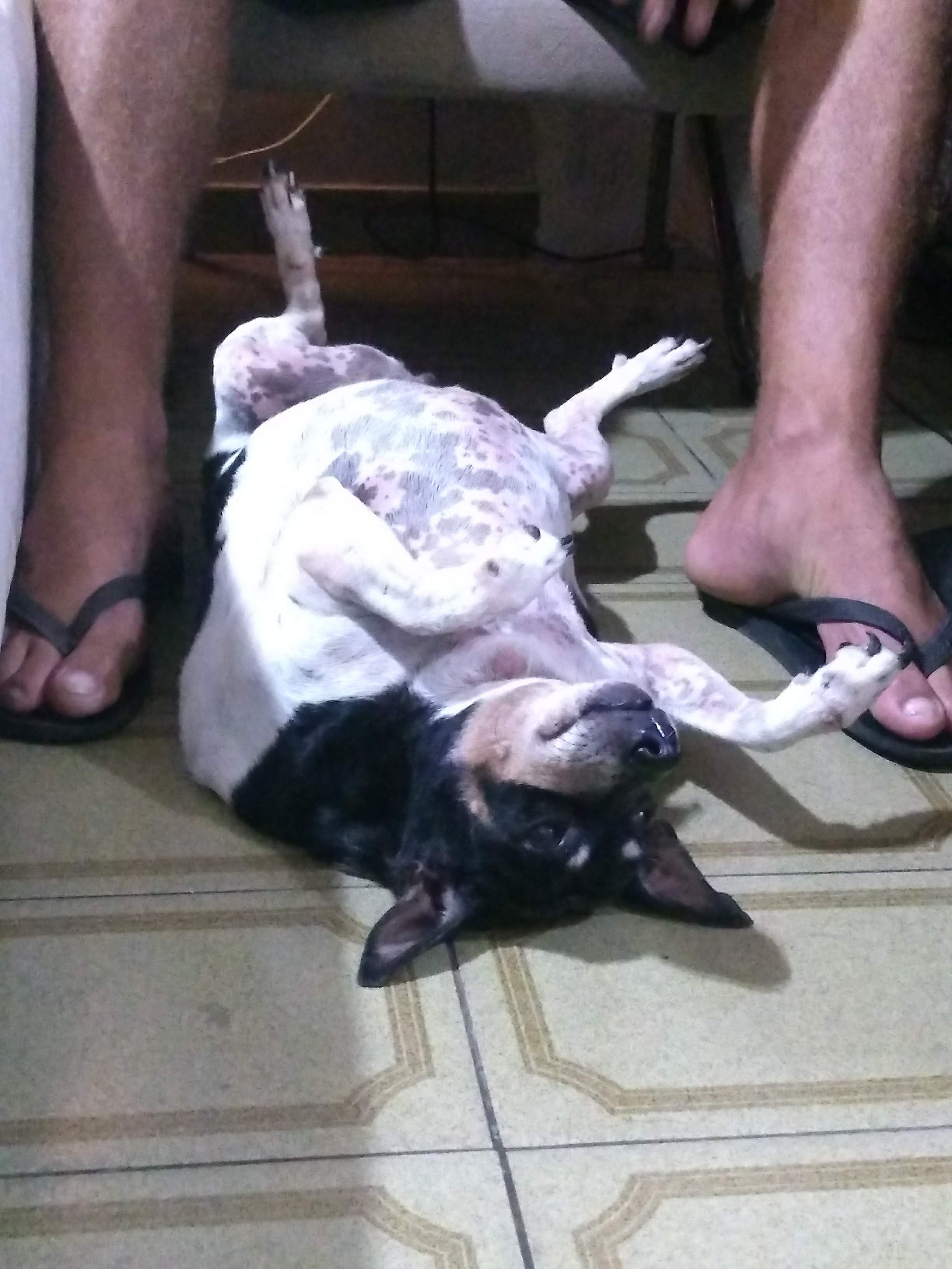 image-4