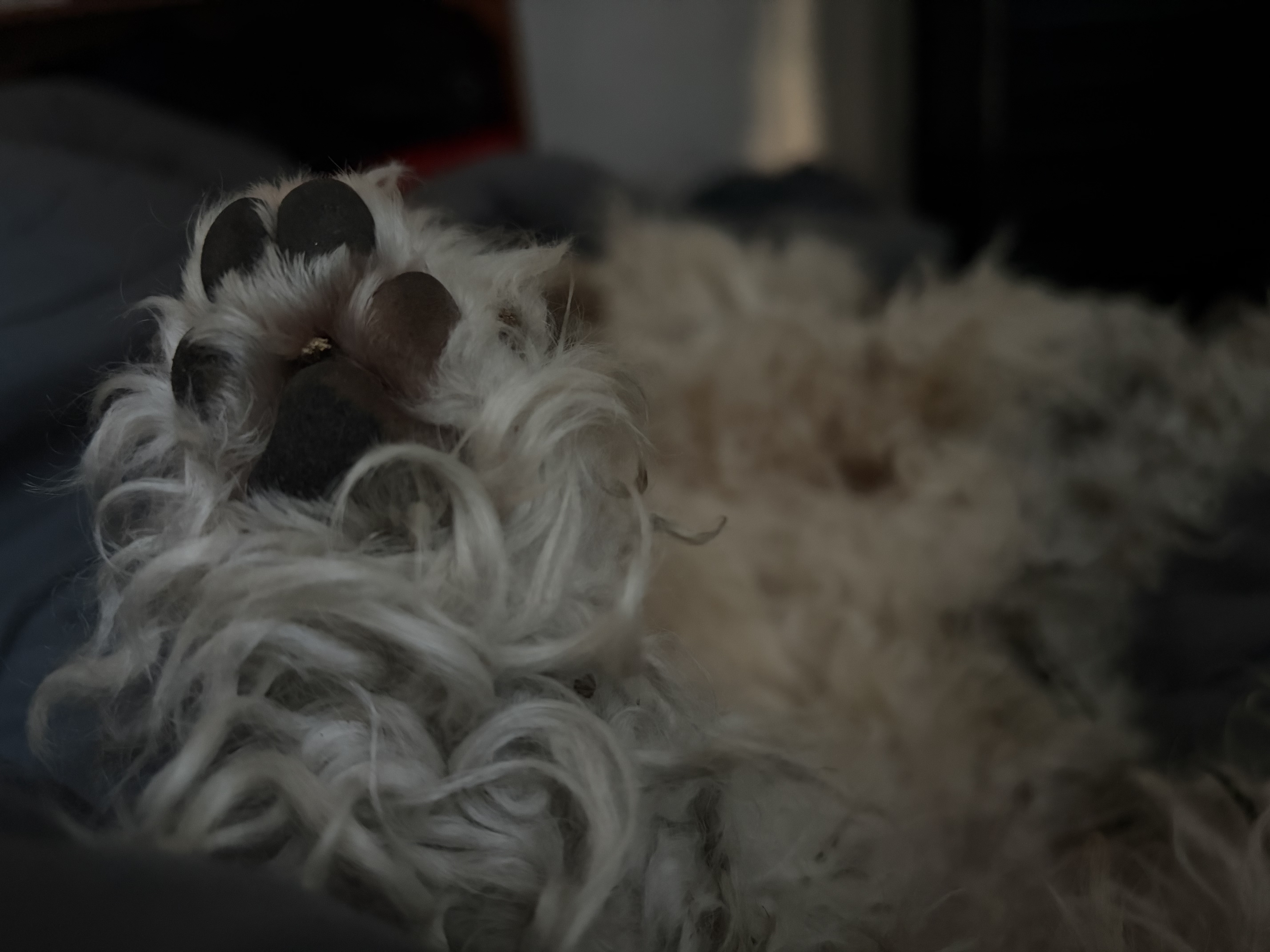 image-6