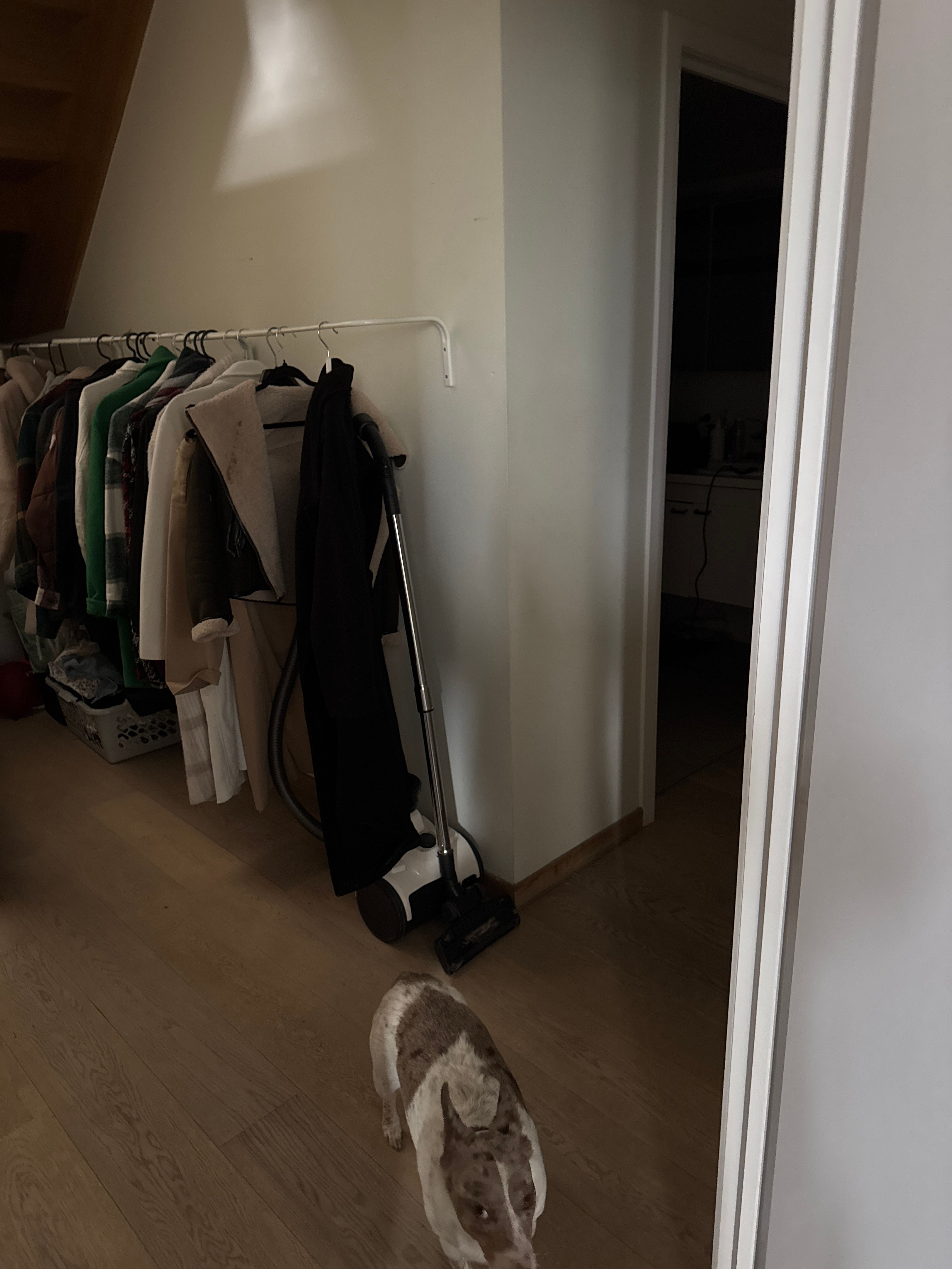 image-17