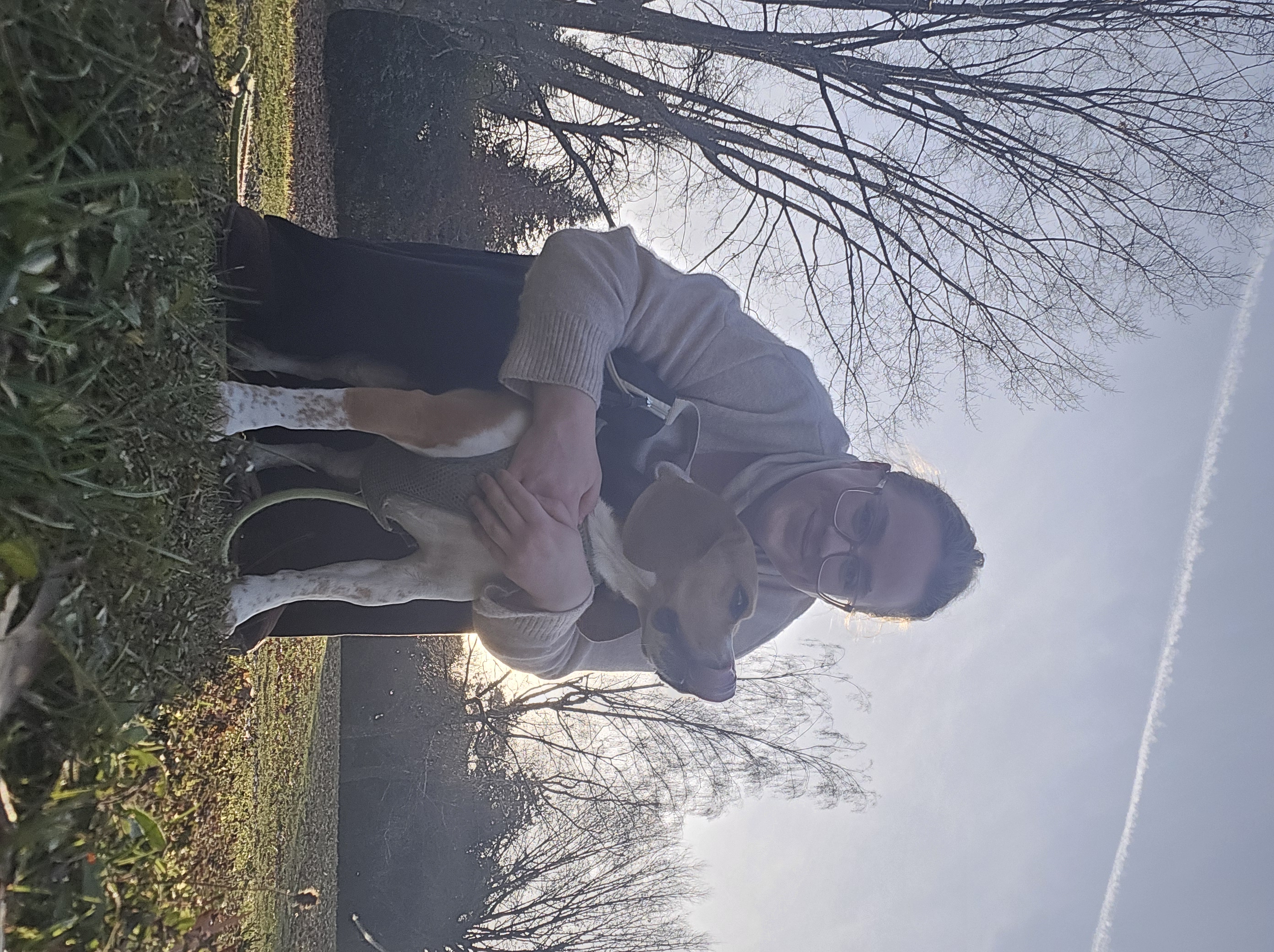 image-4
