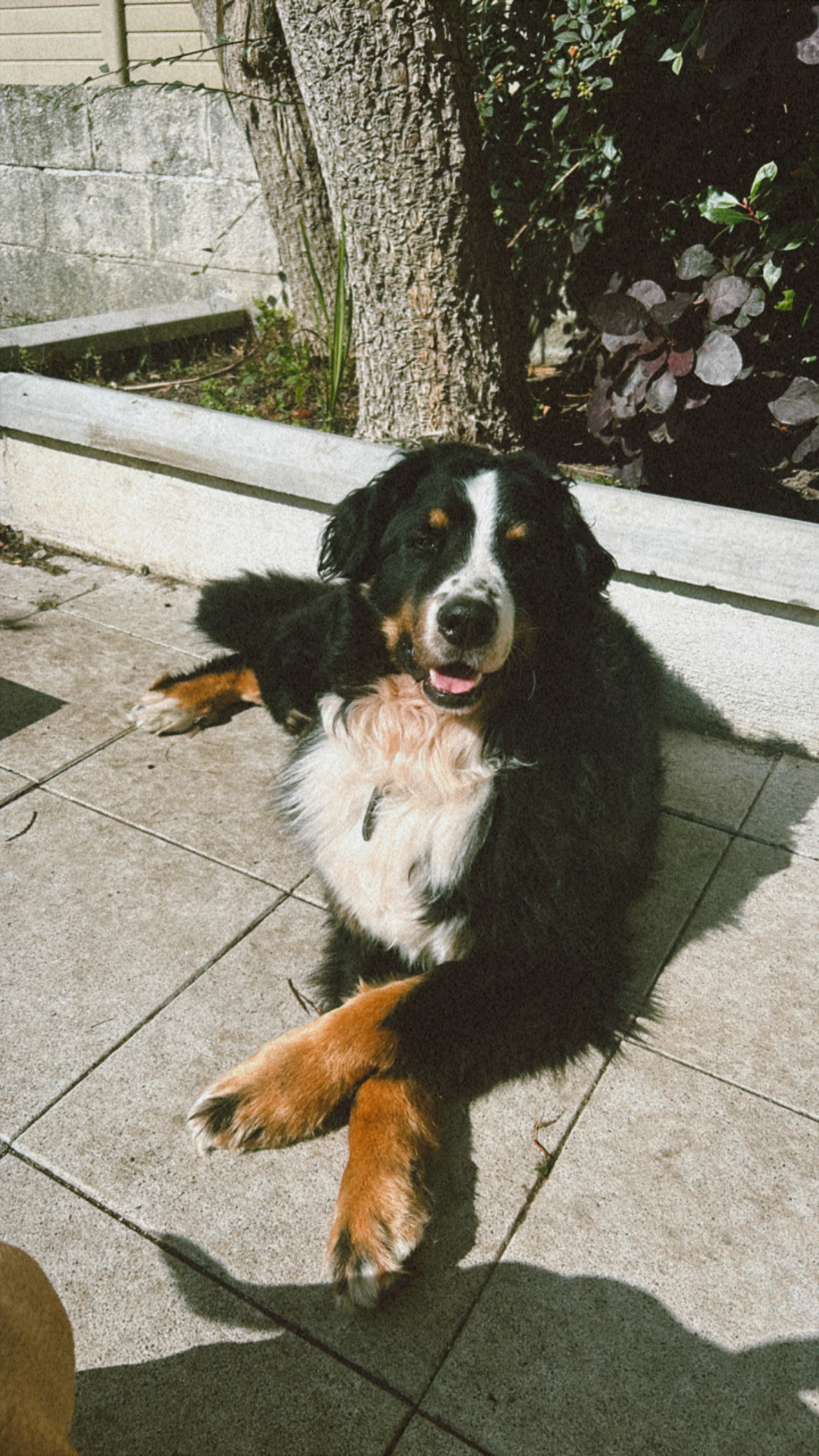 image-5