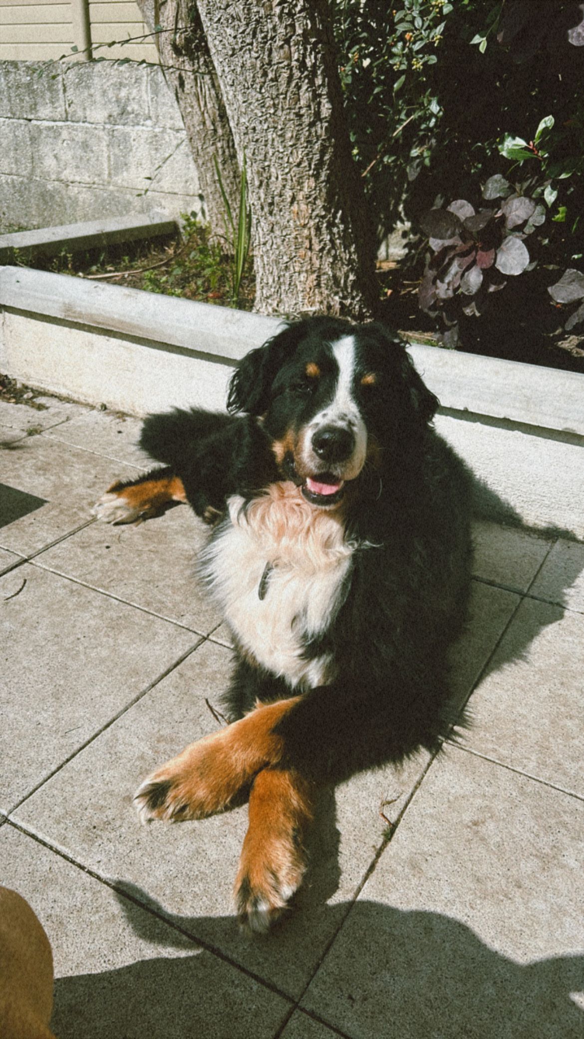 image-5