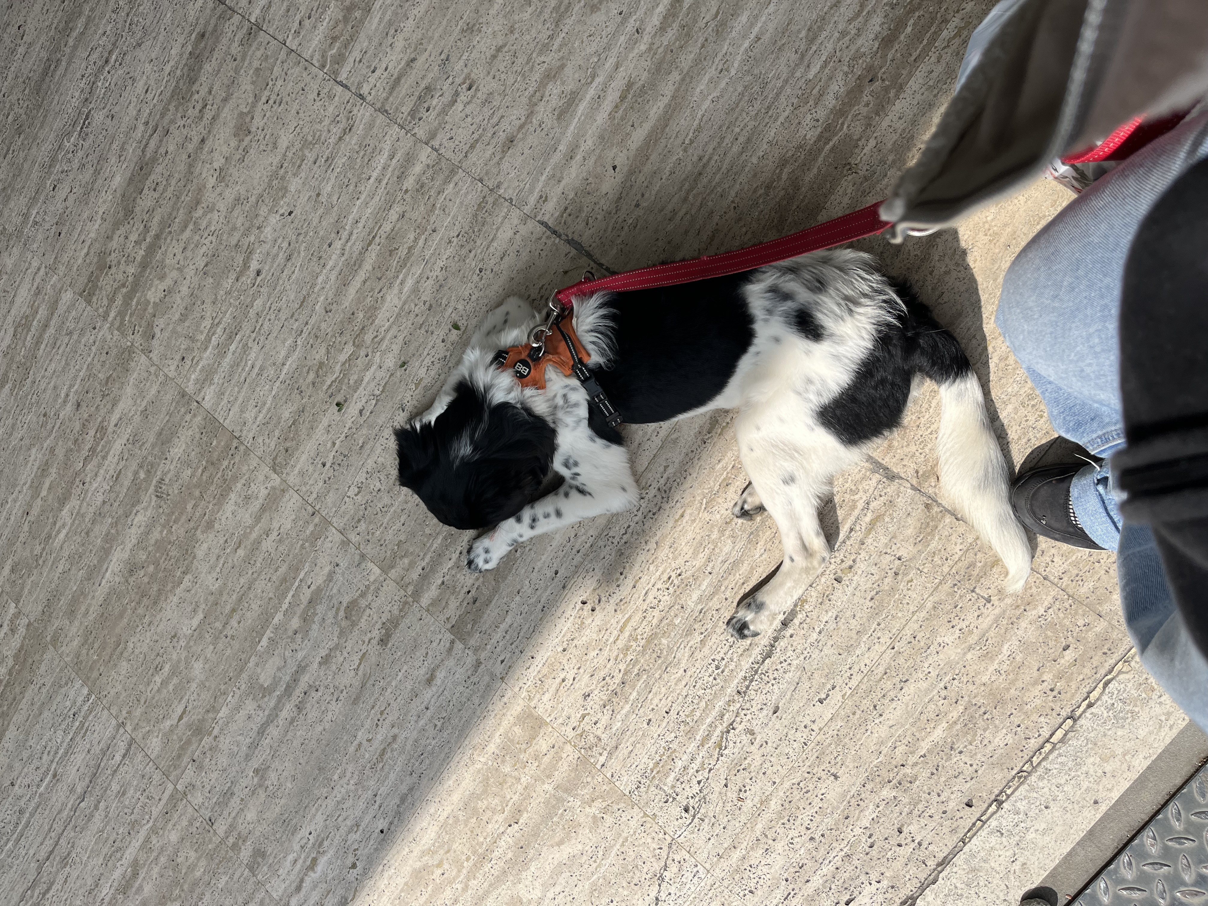 image-7