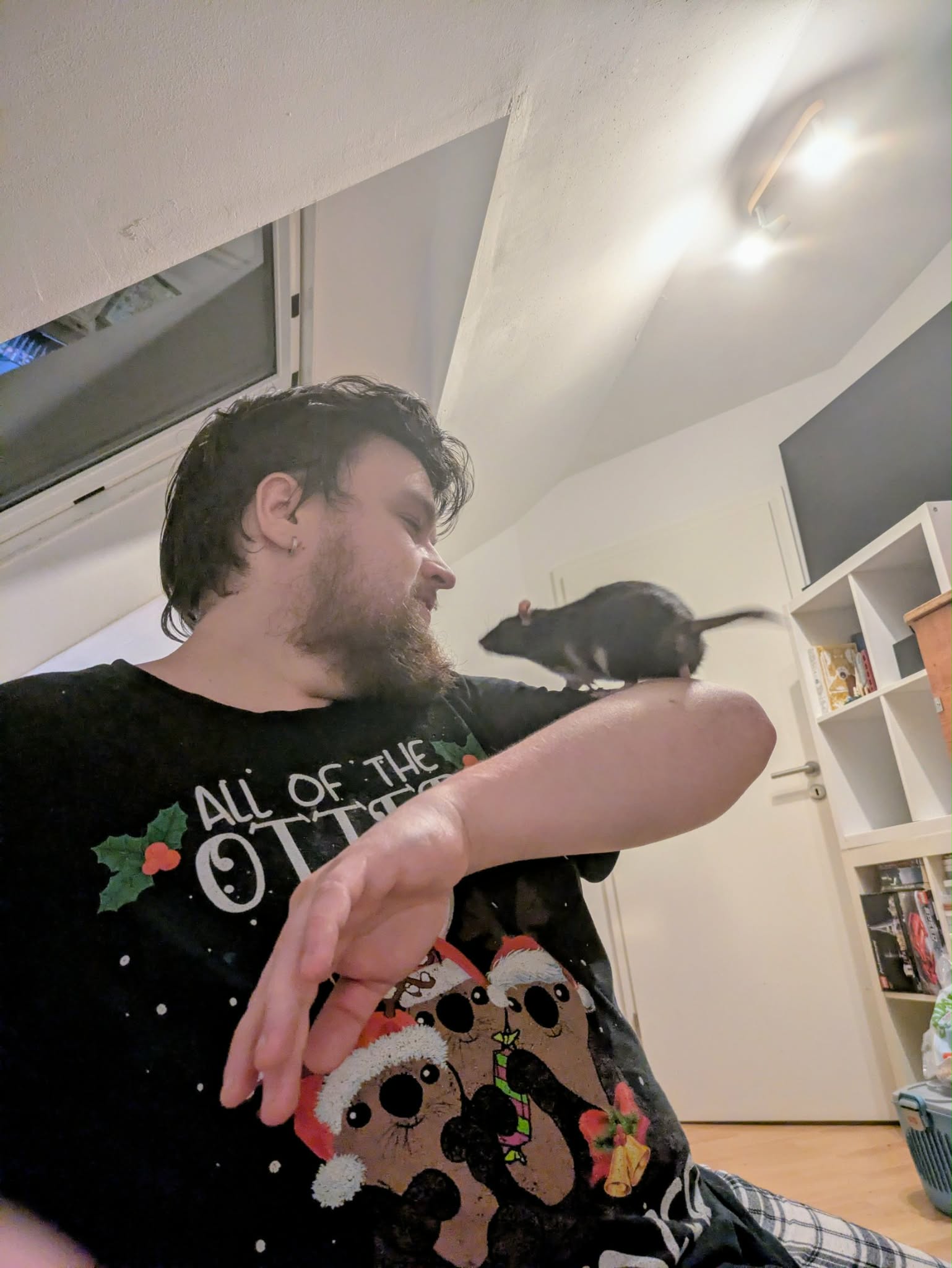 image-7