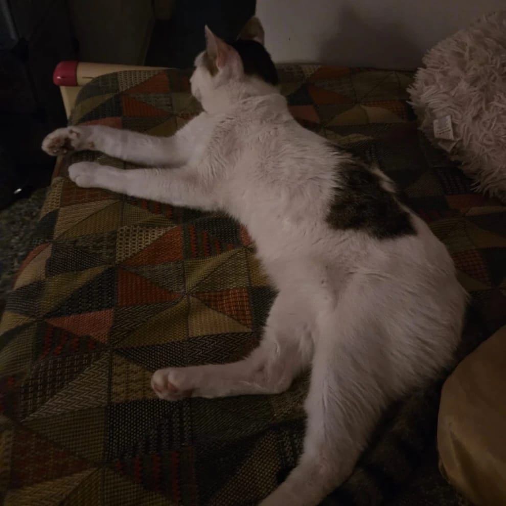 Mi