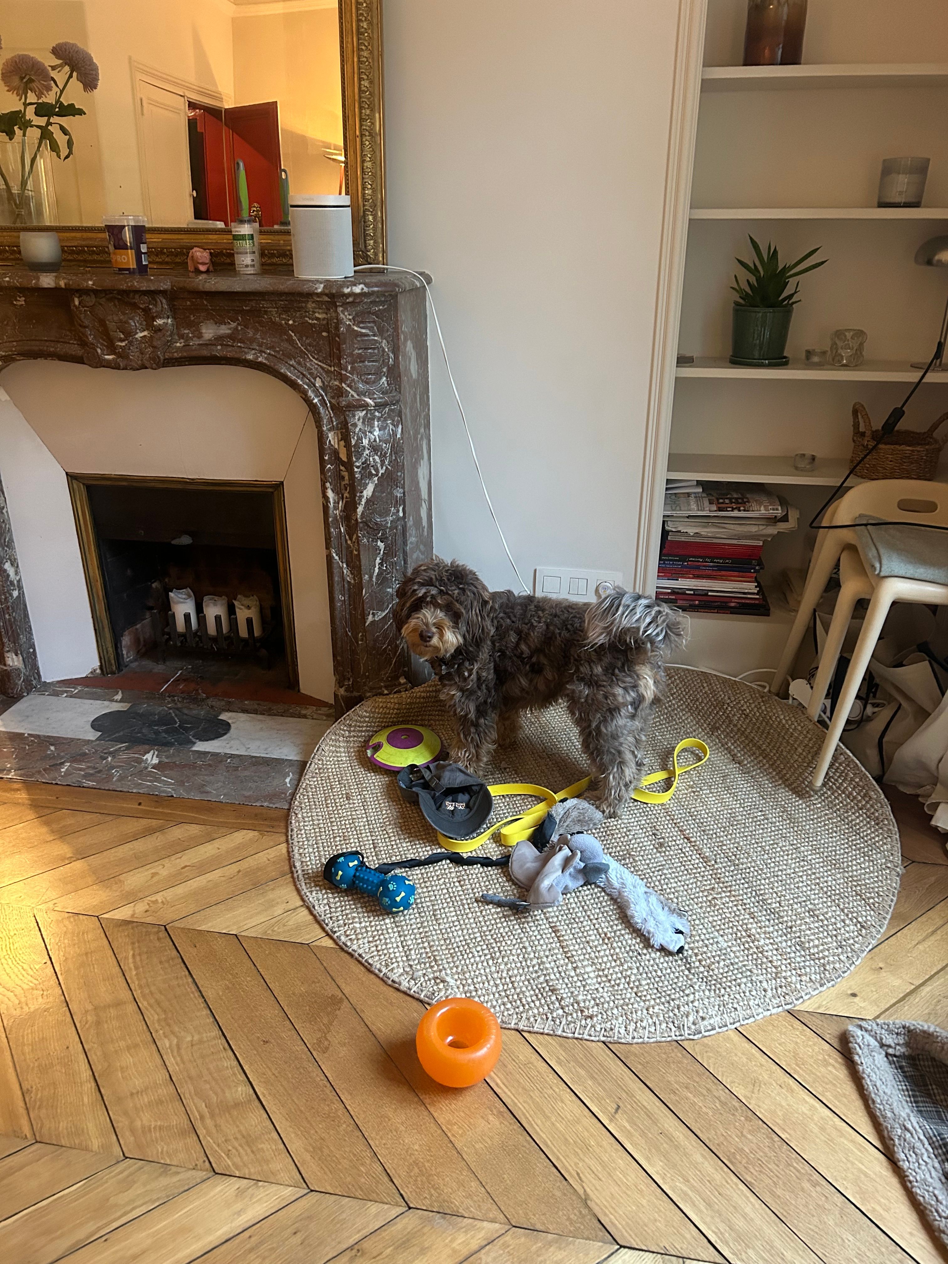 image-17