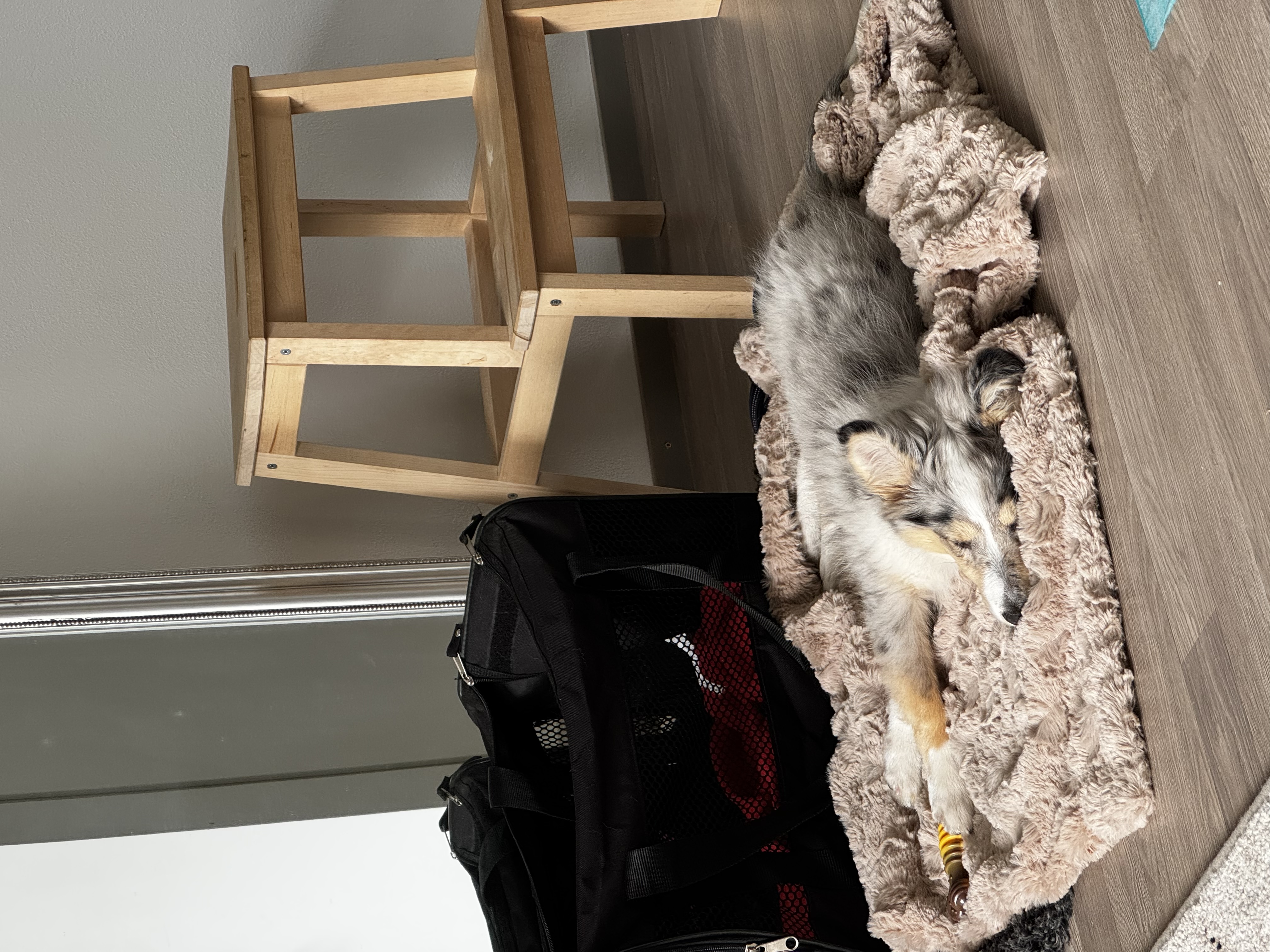 image-16