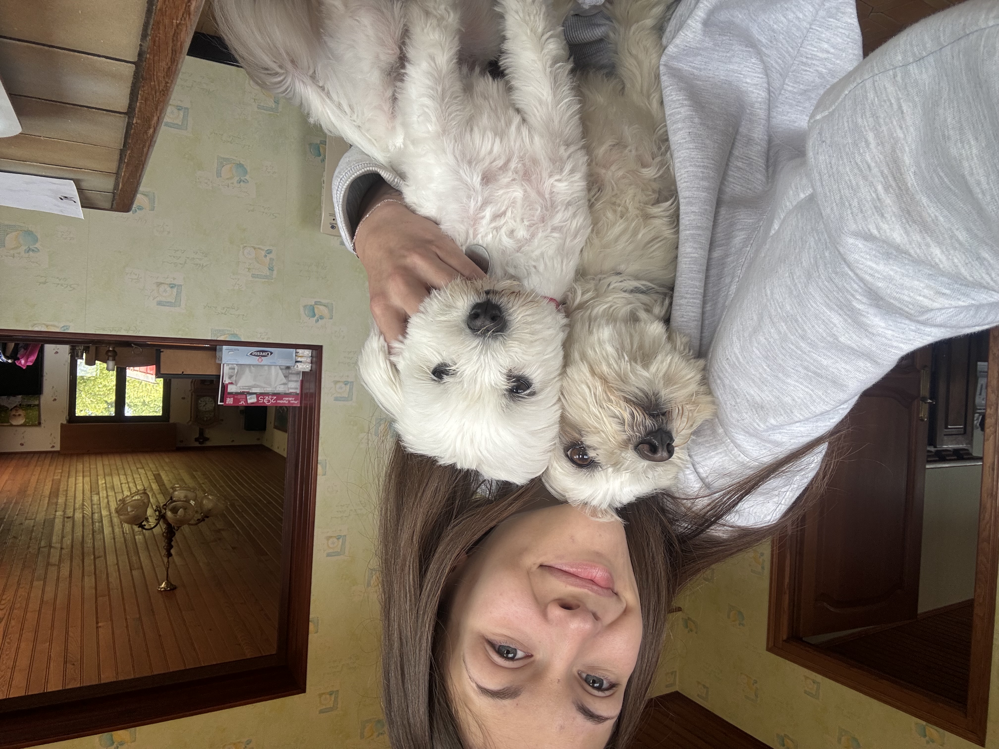 image-5
