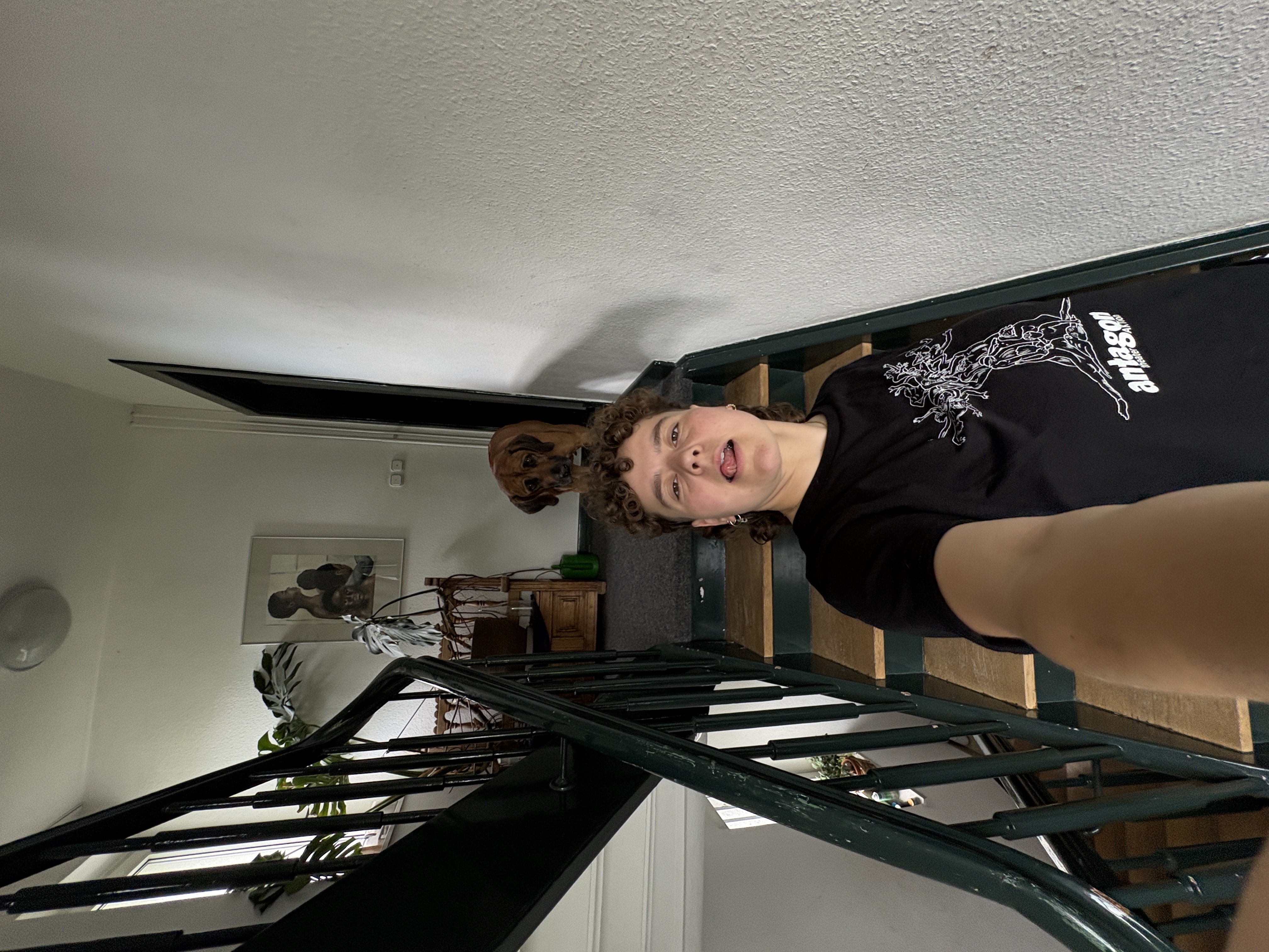 image-7