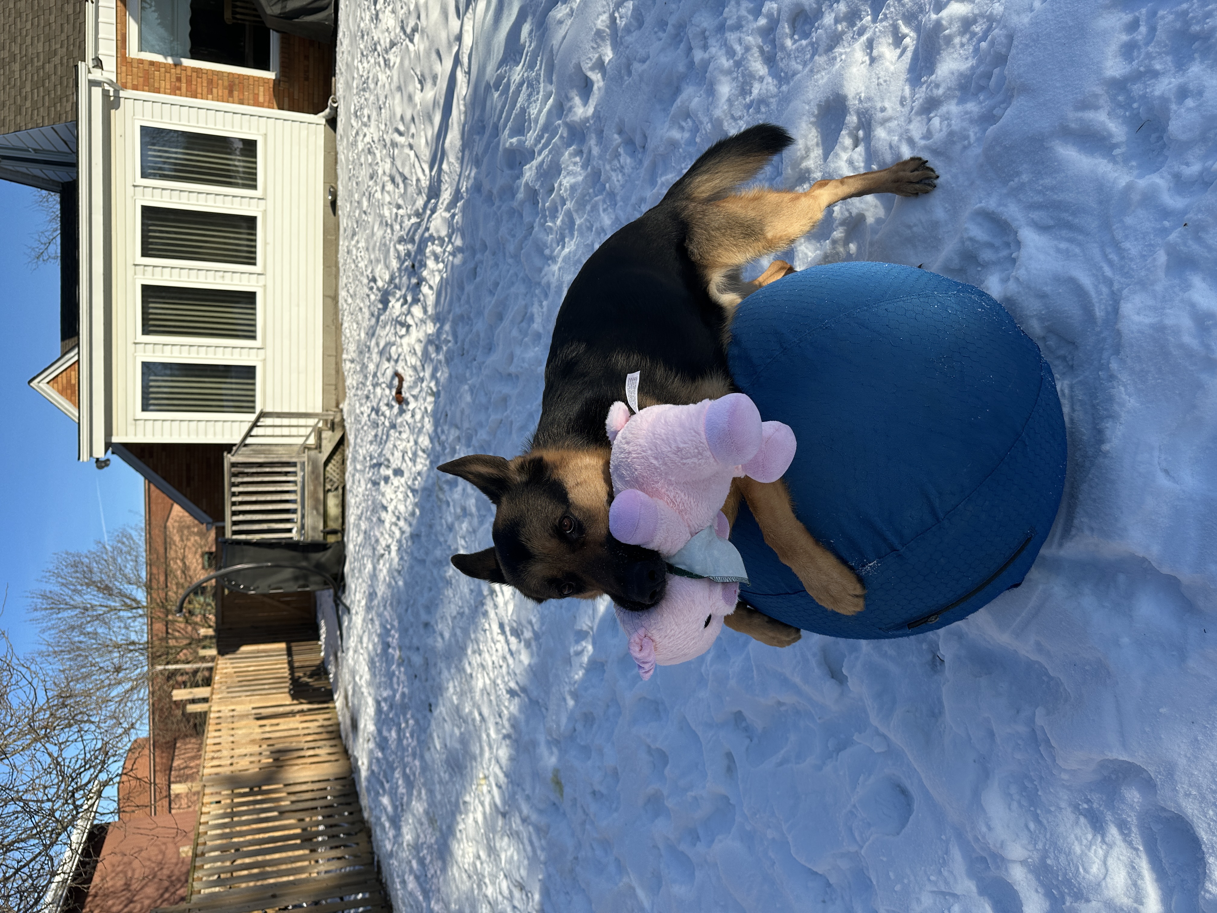 image-7