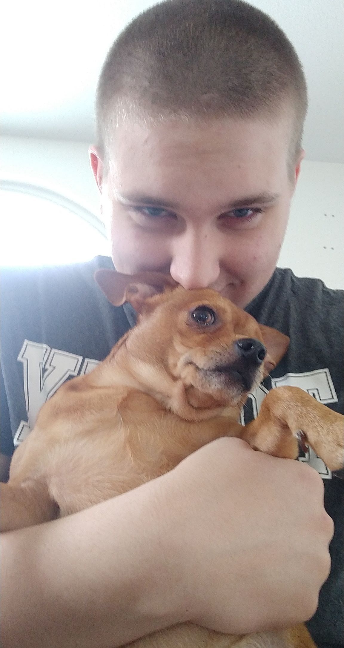 image-6