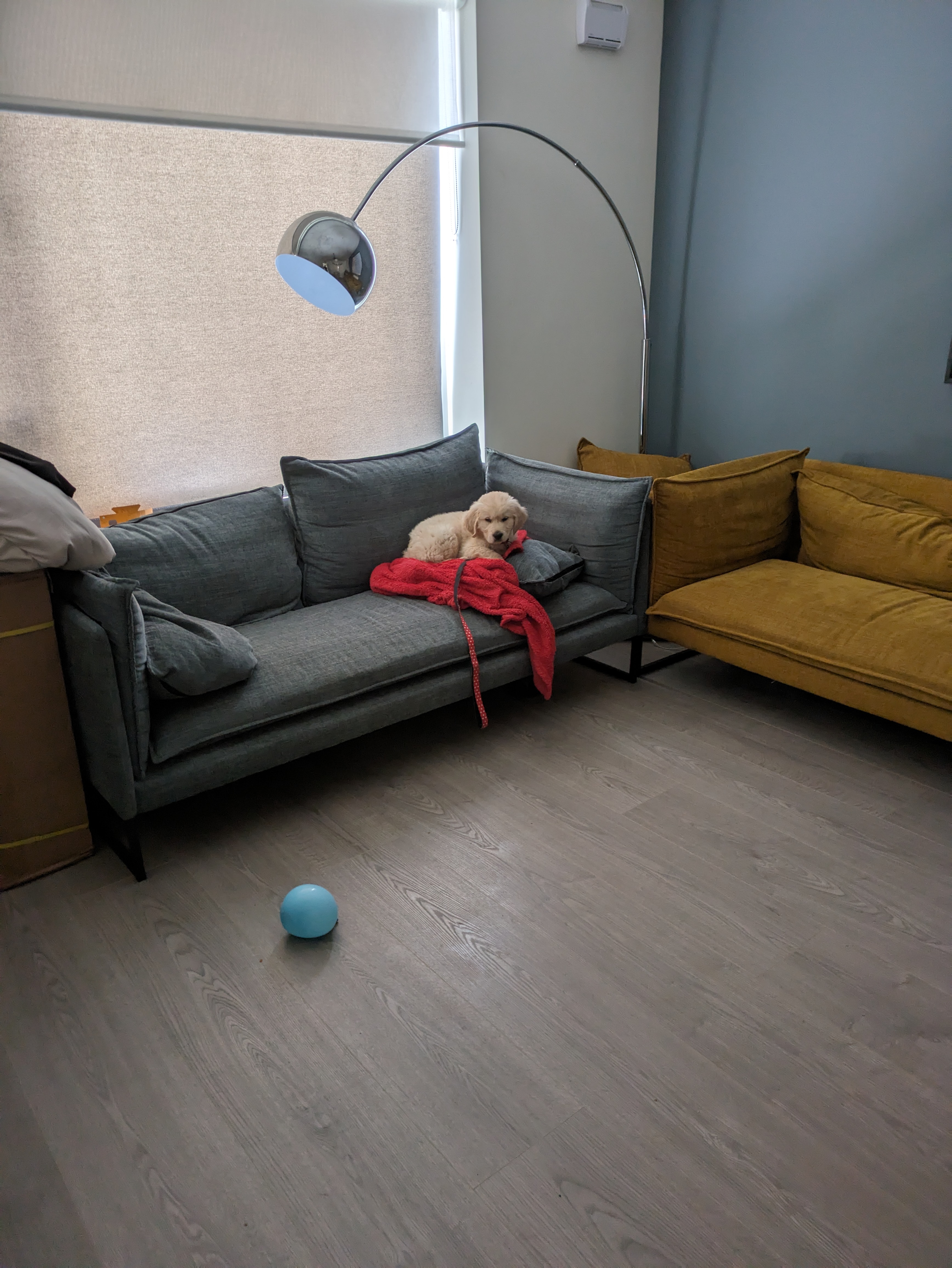 image-5