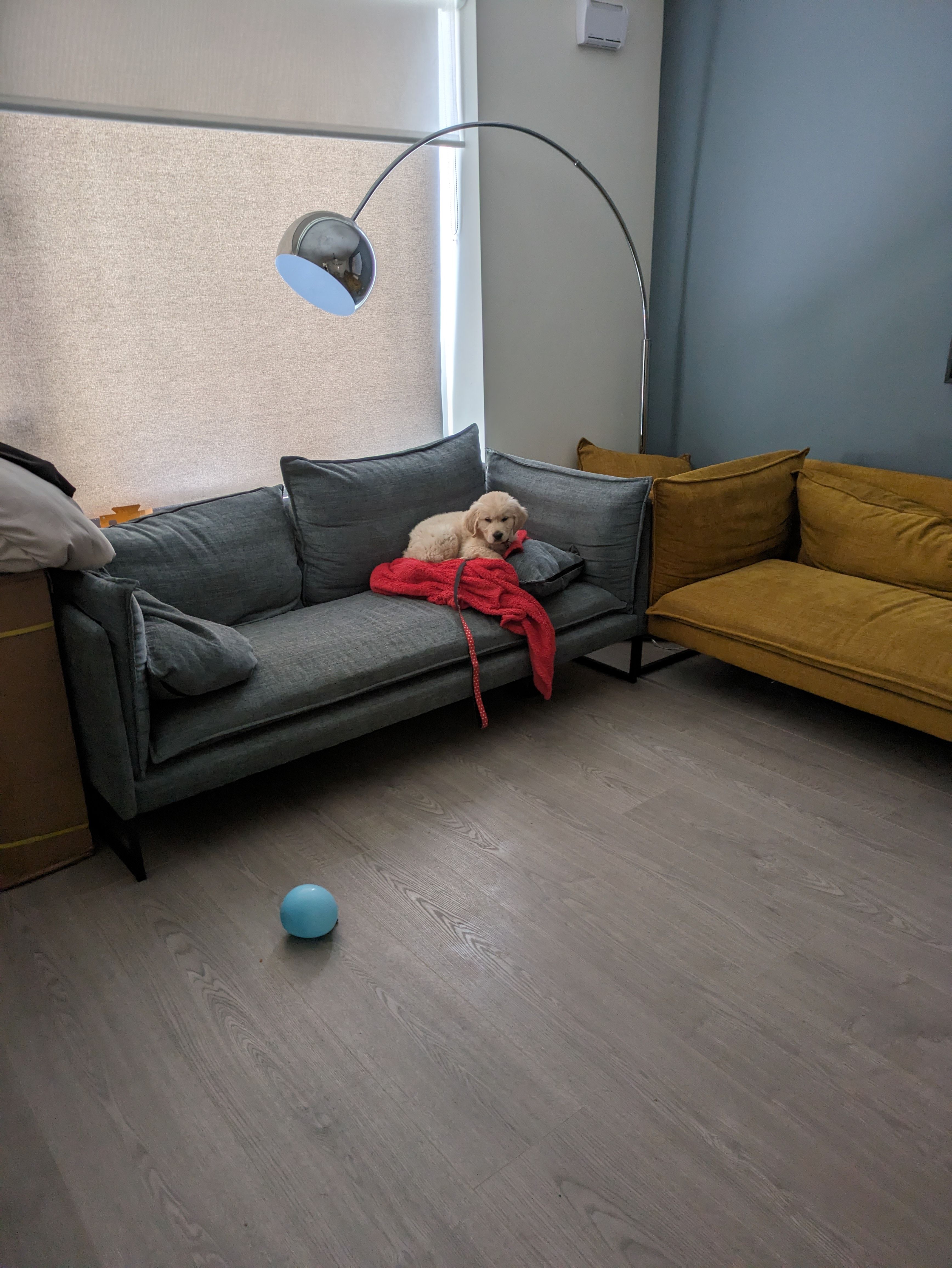 image-5