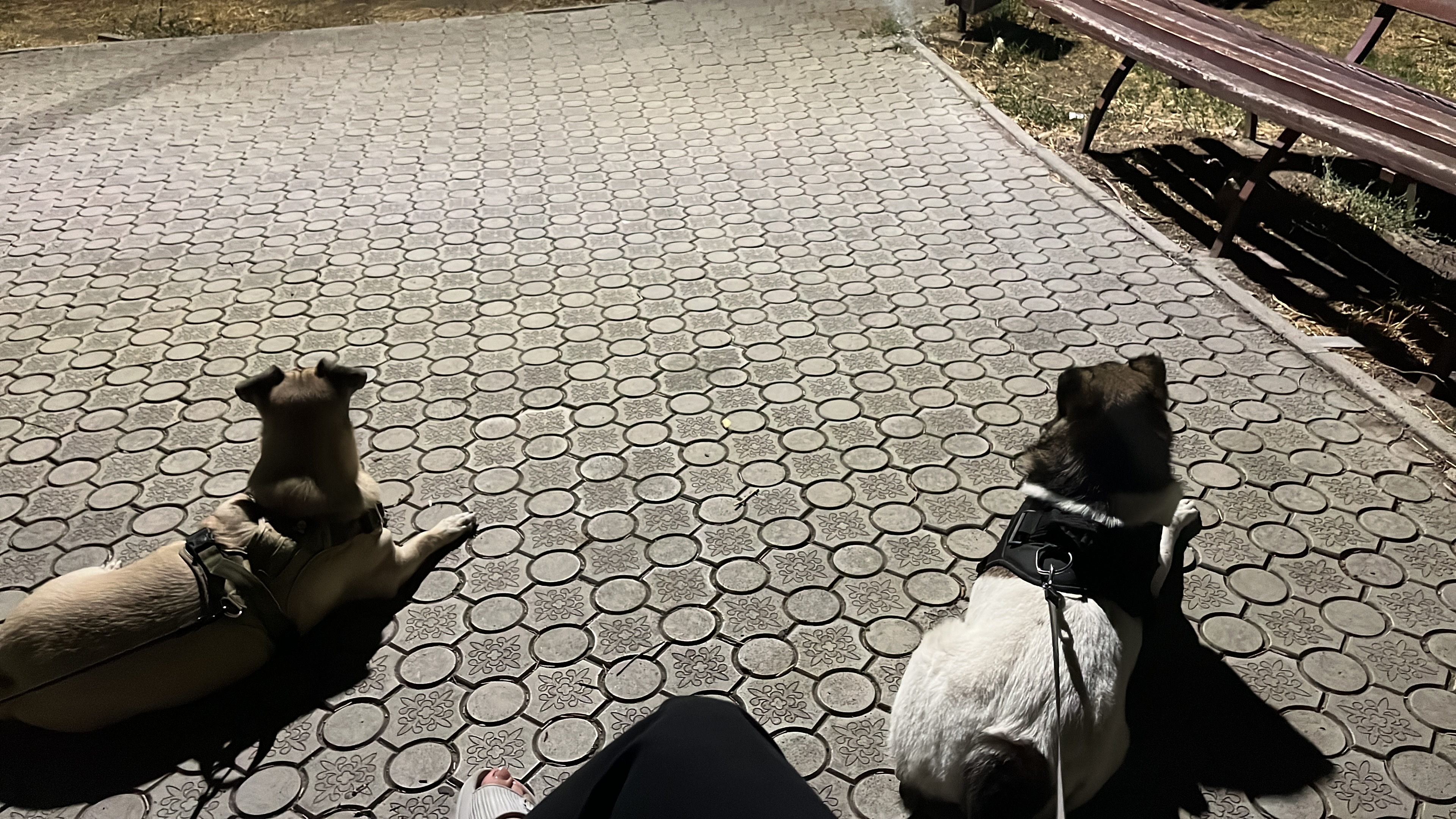 image-7