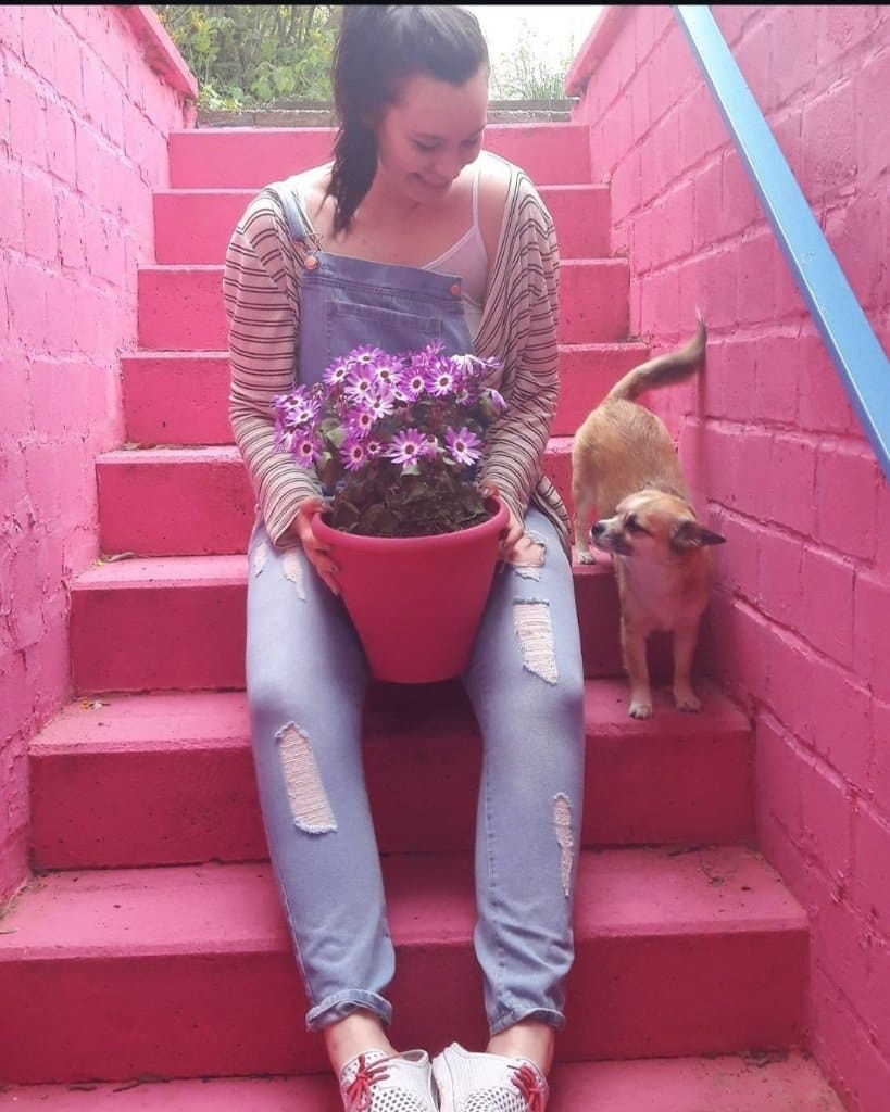 image-6