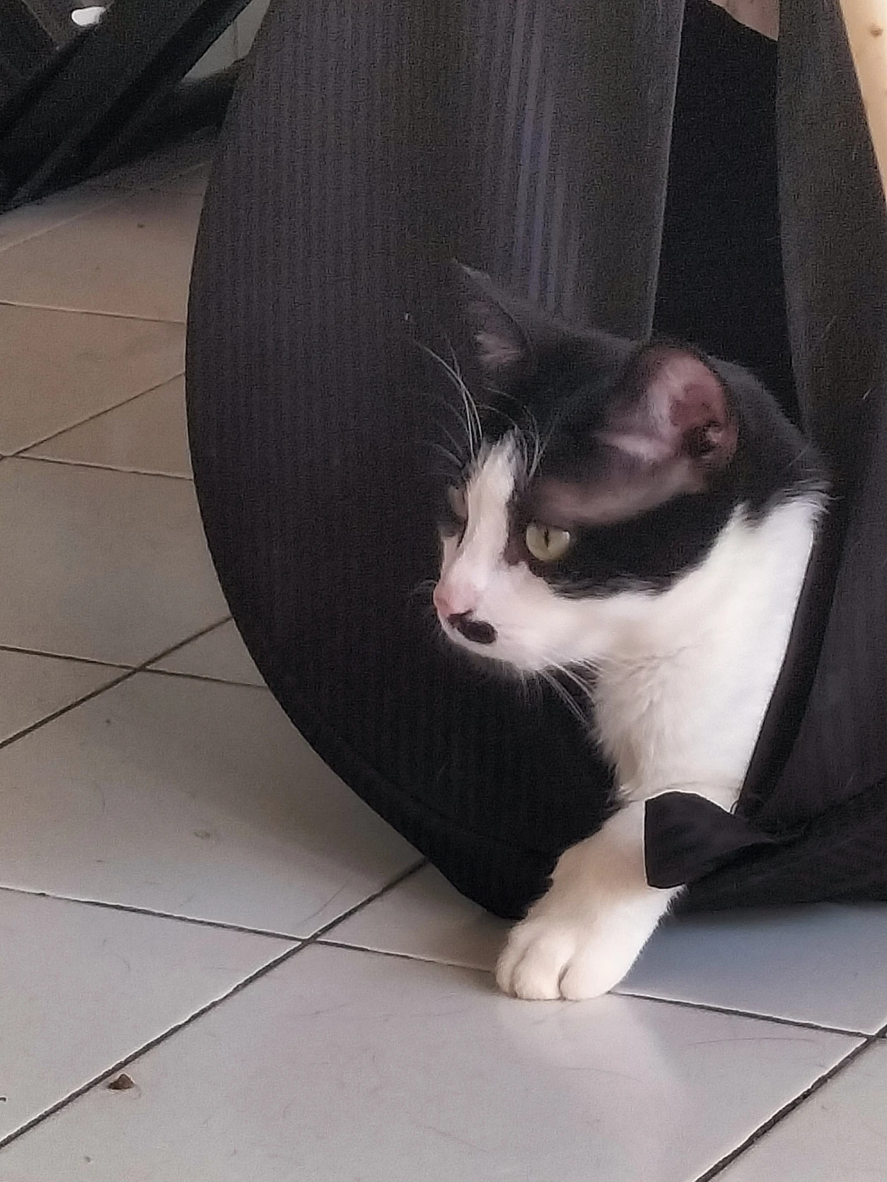 image-8