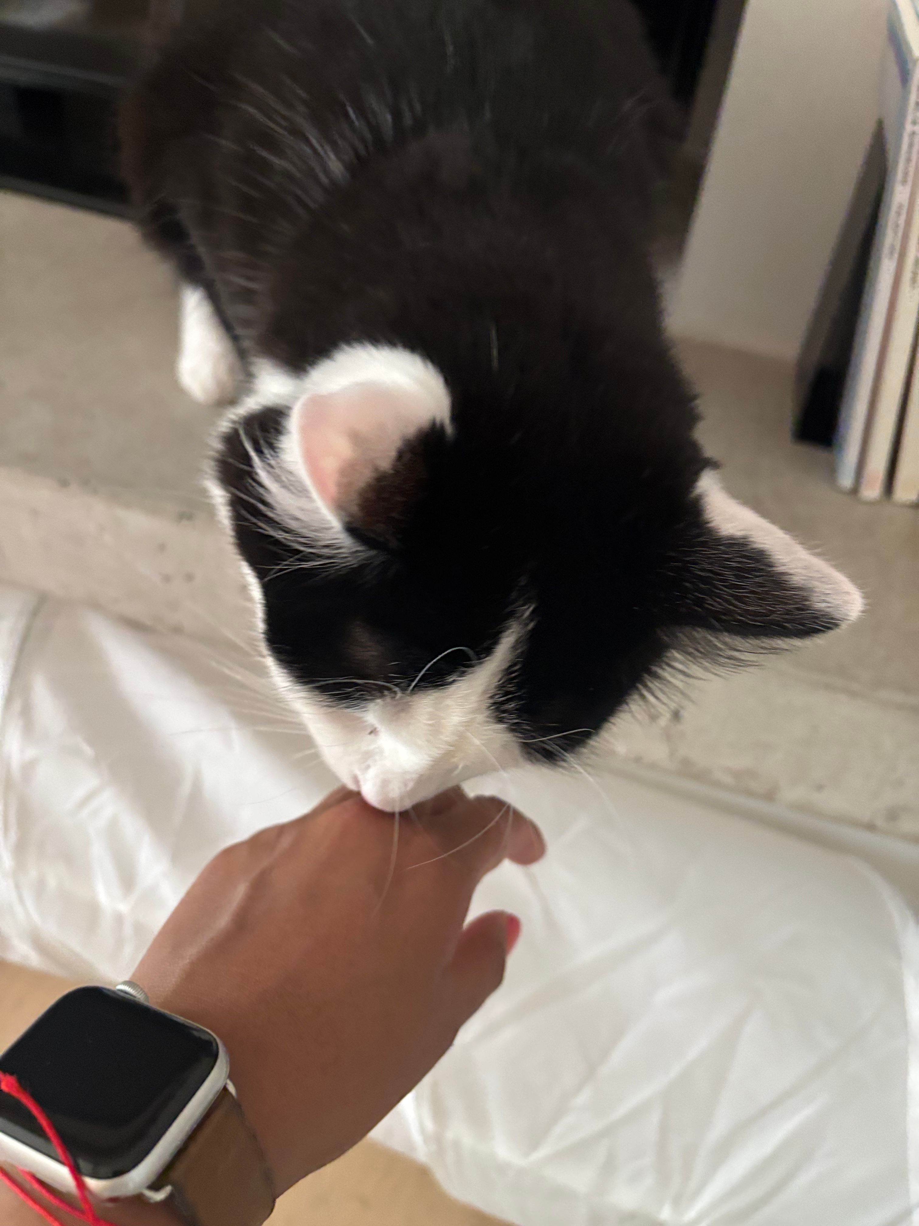 image-11