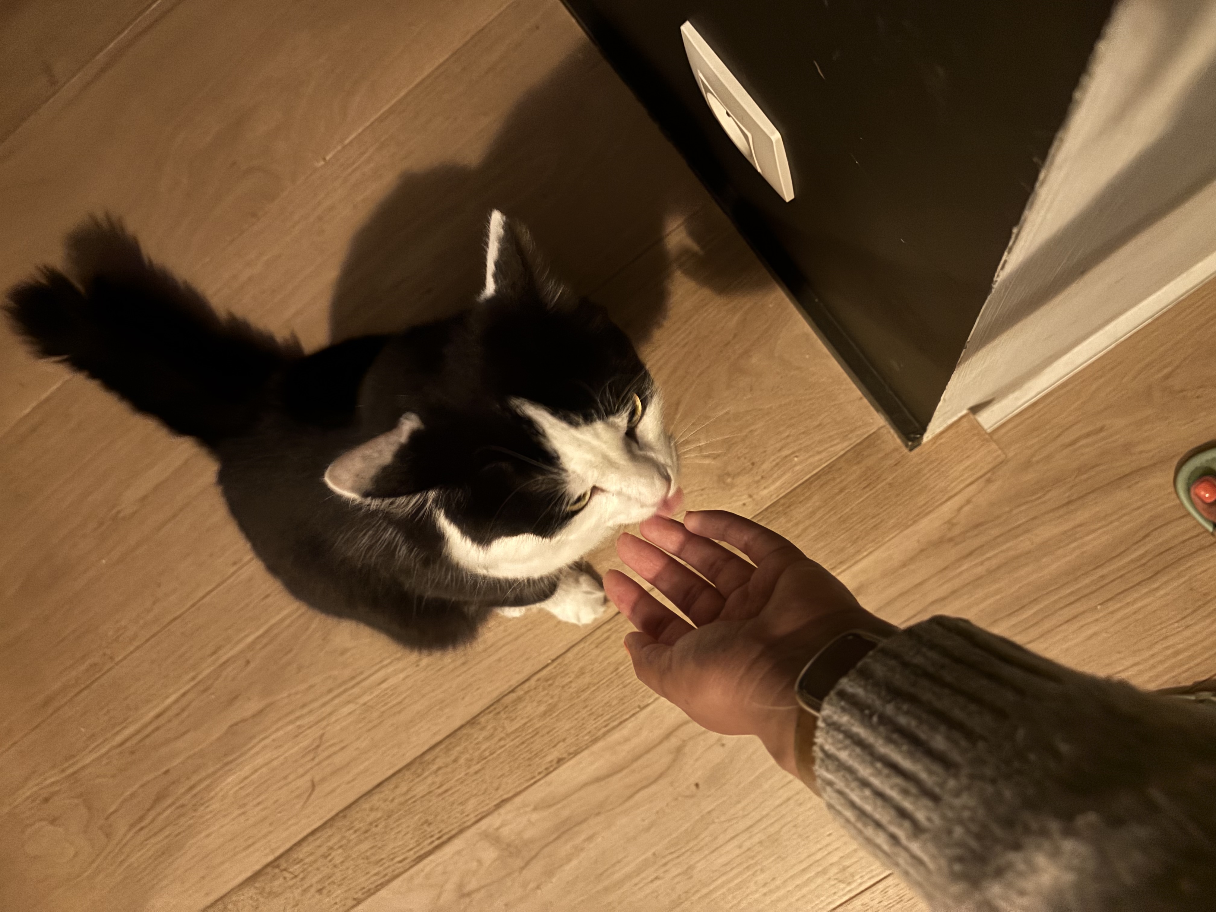 image-10