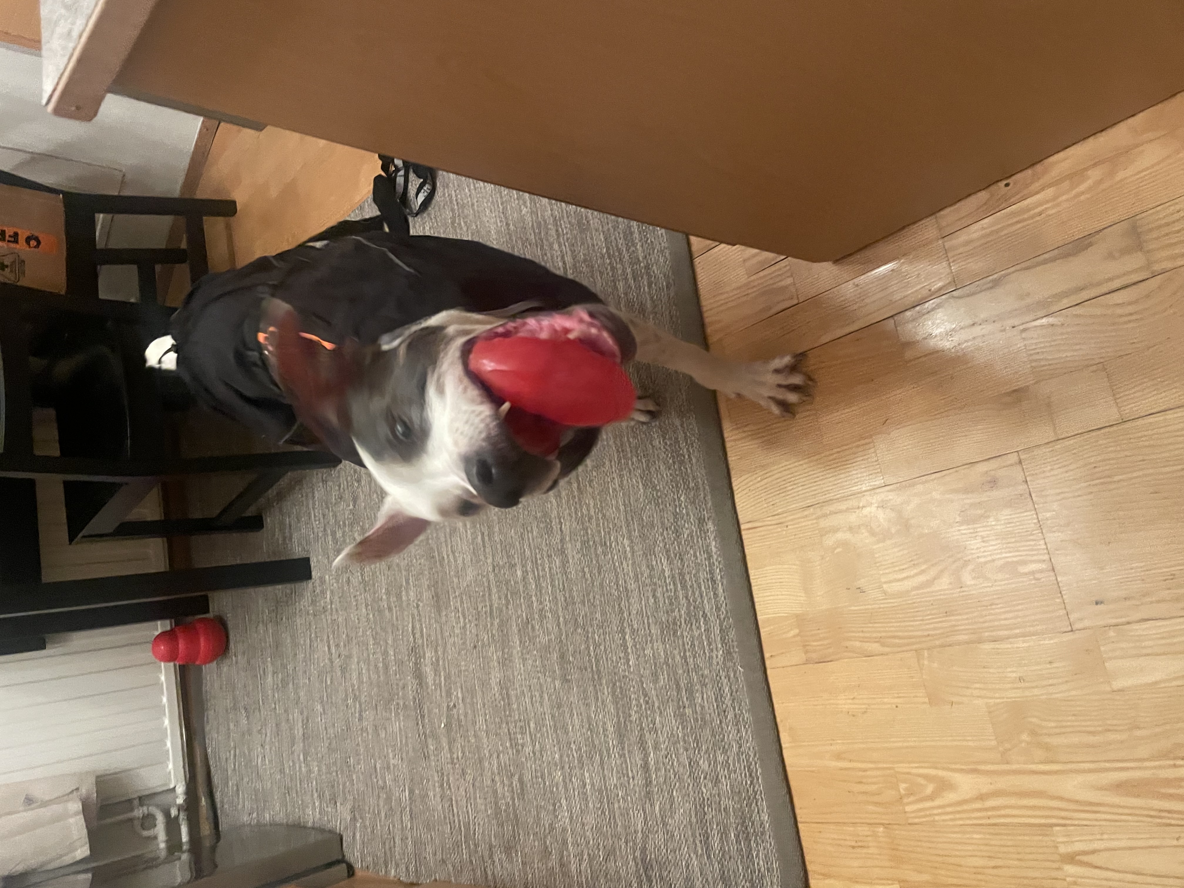 image-14