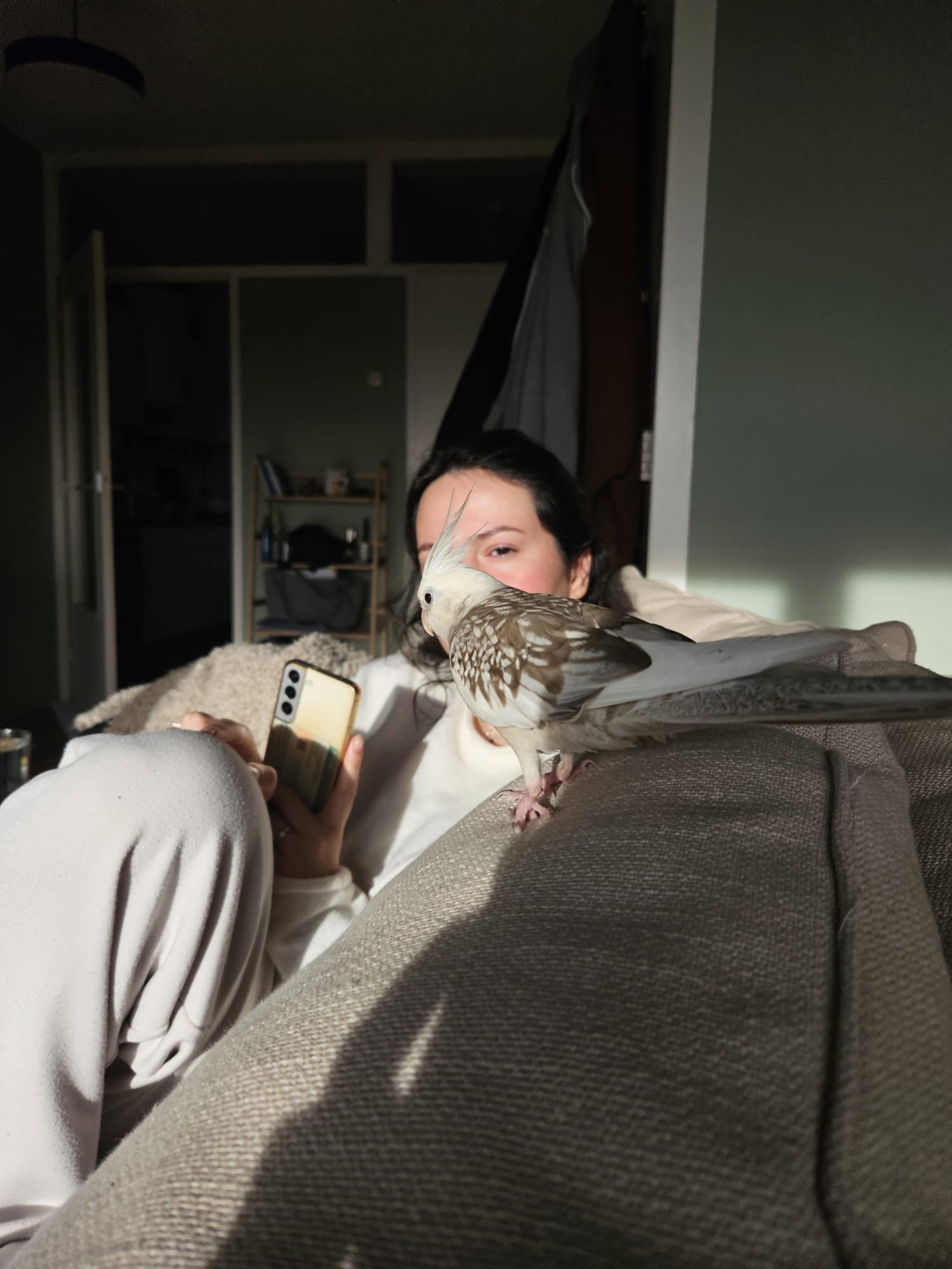 image-6