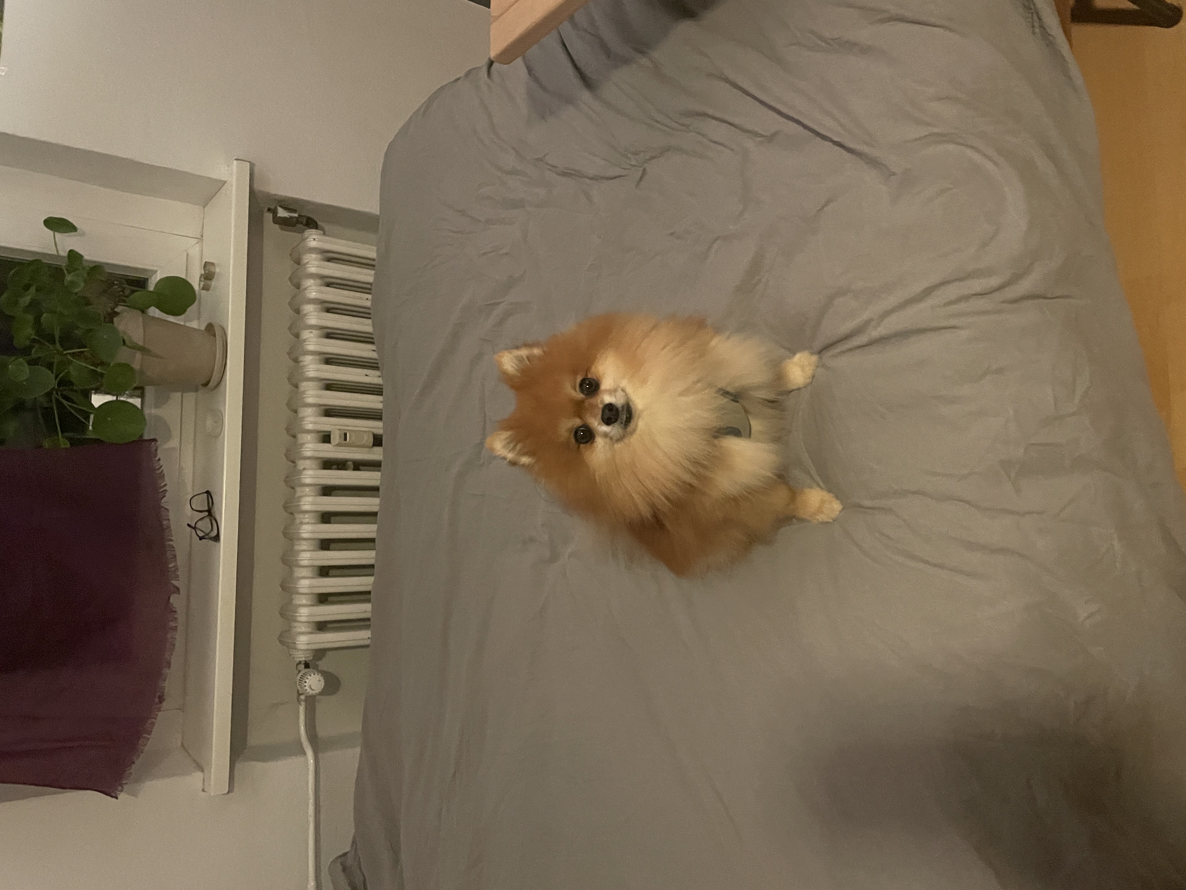 image-8