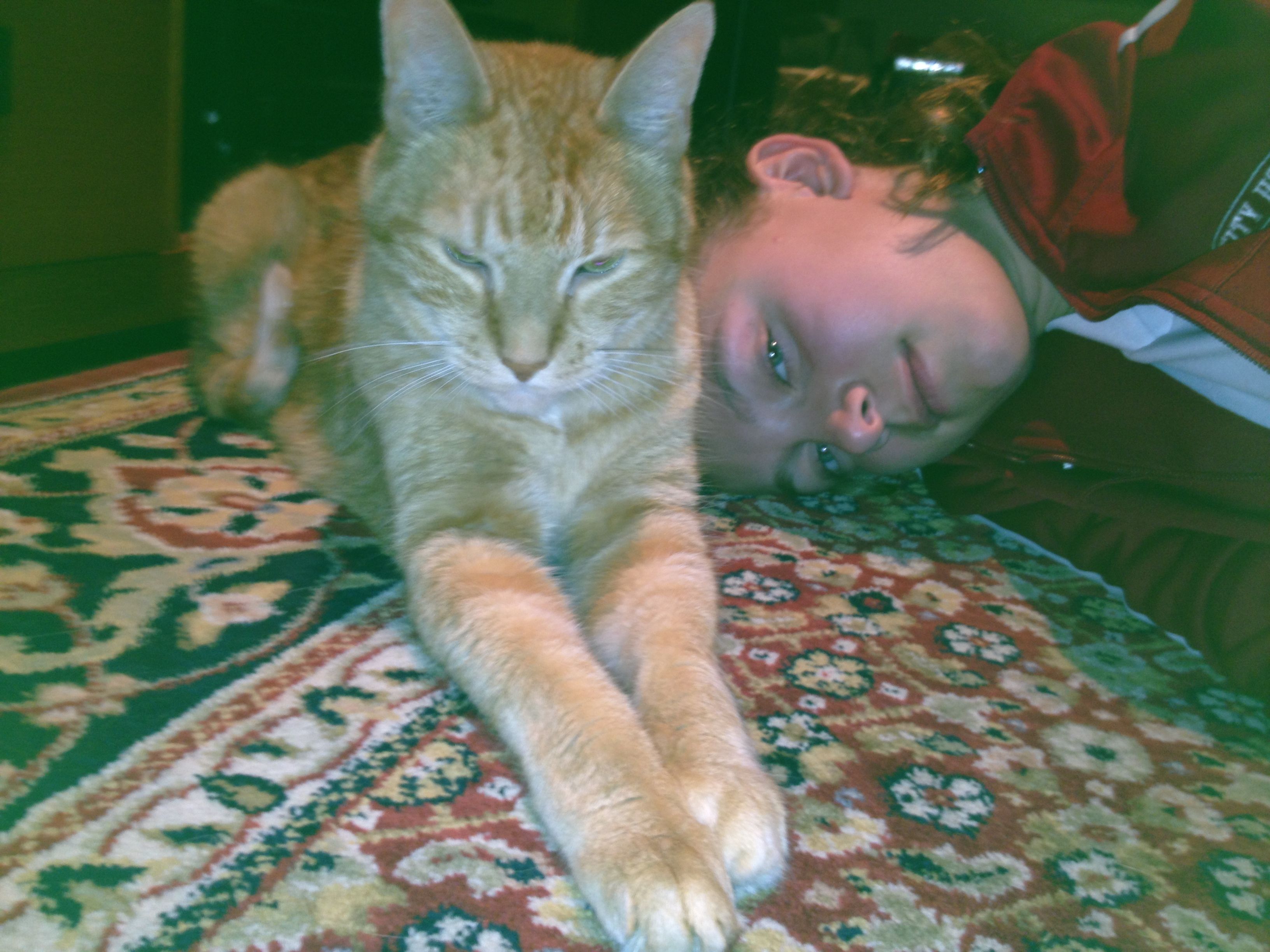 image-7