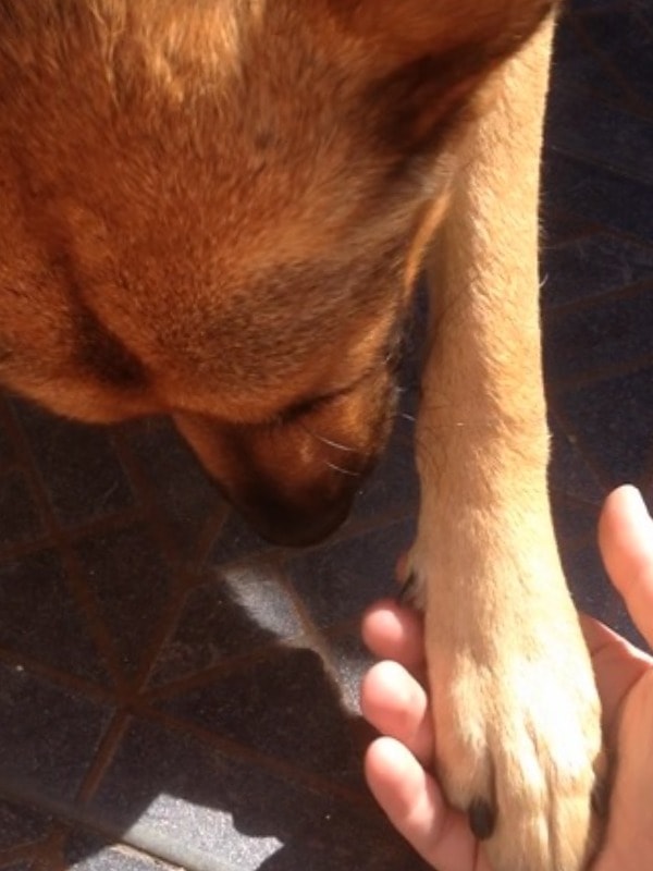 image-4