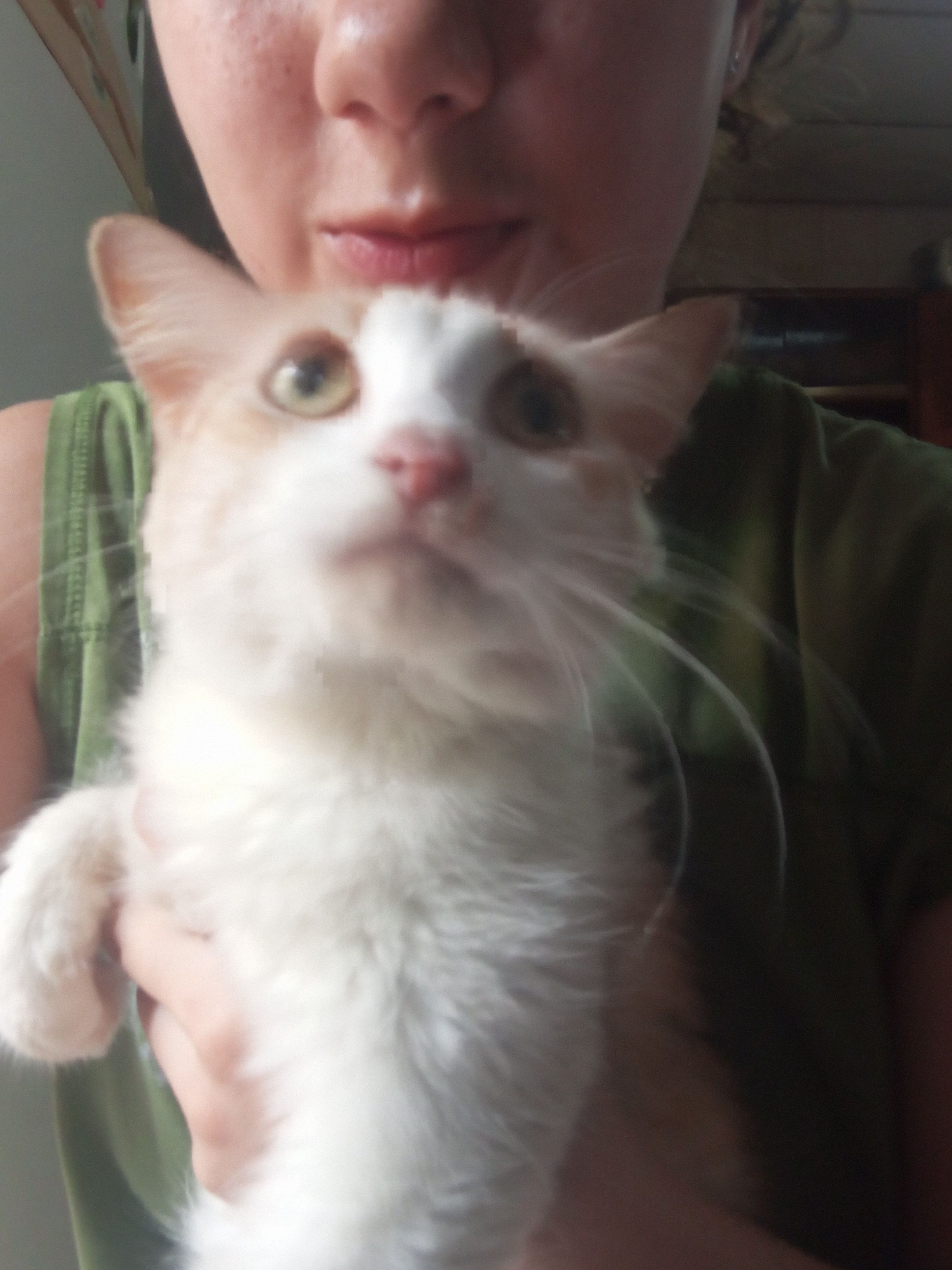 image-8
