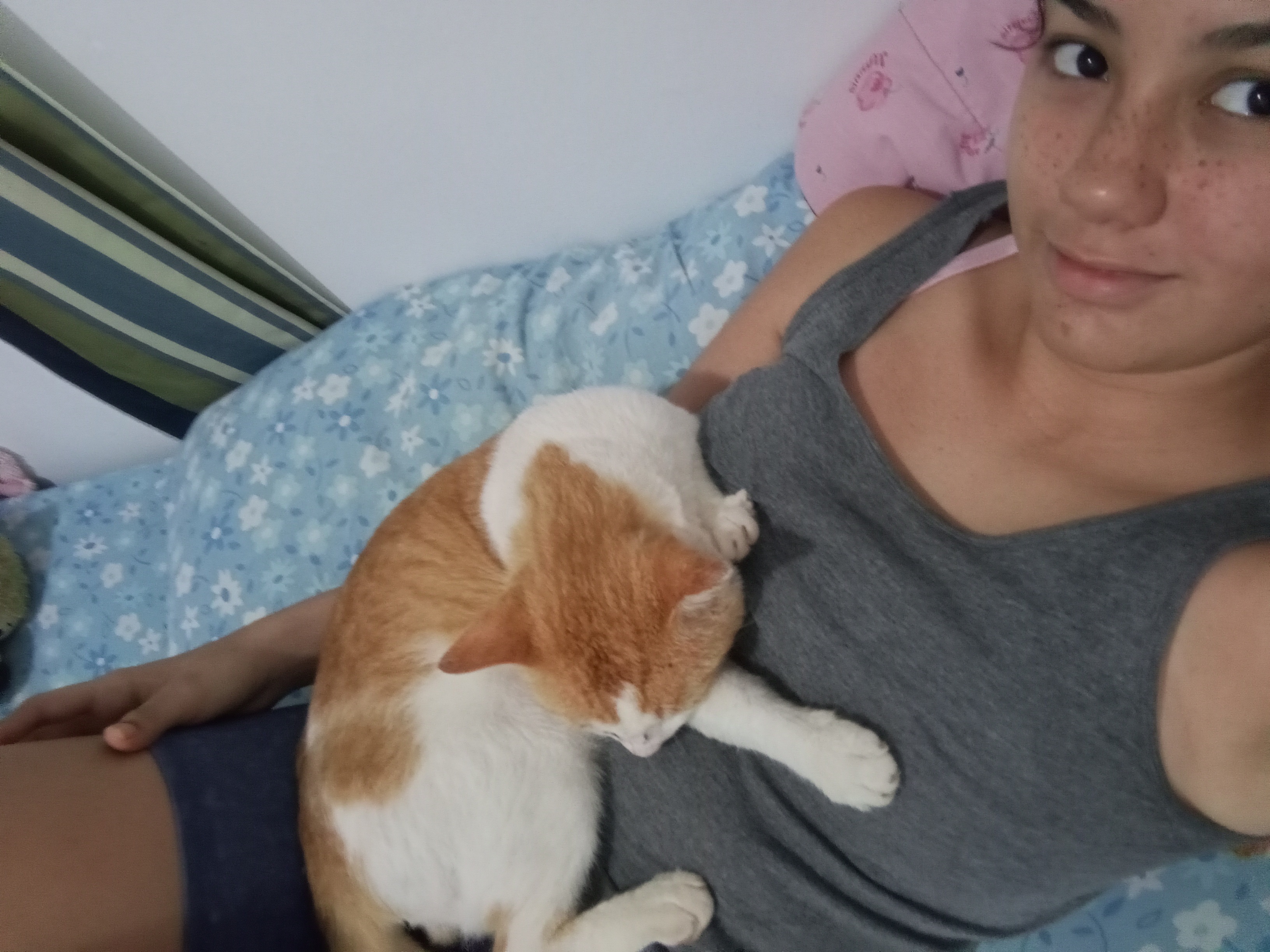 image-5