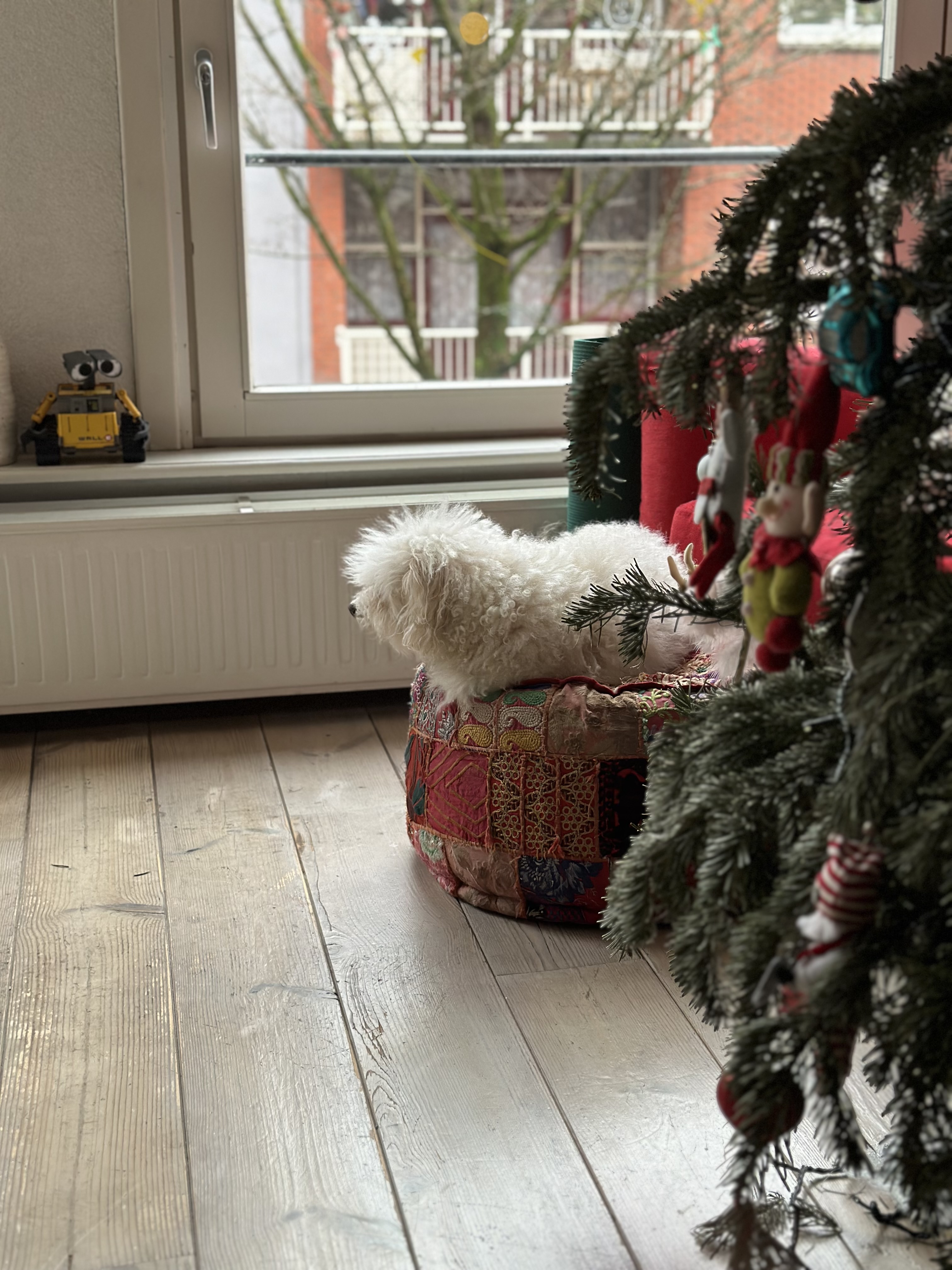 image-8