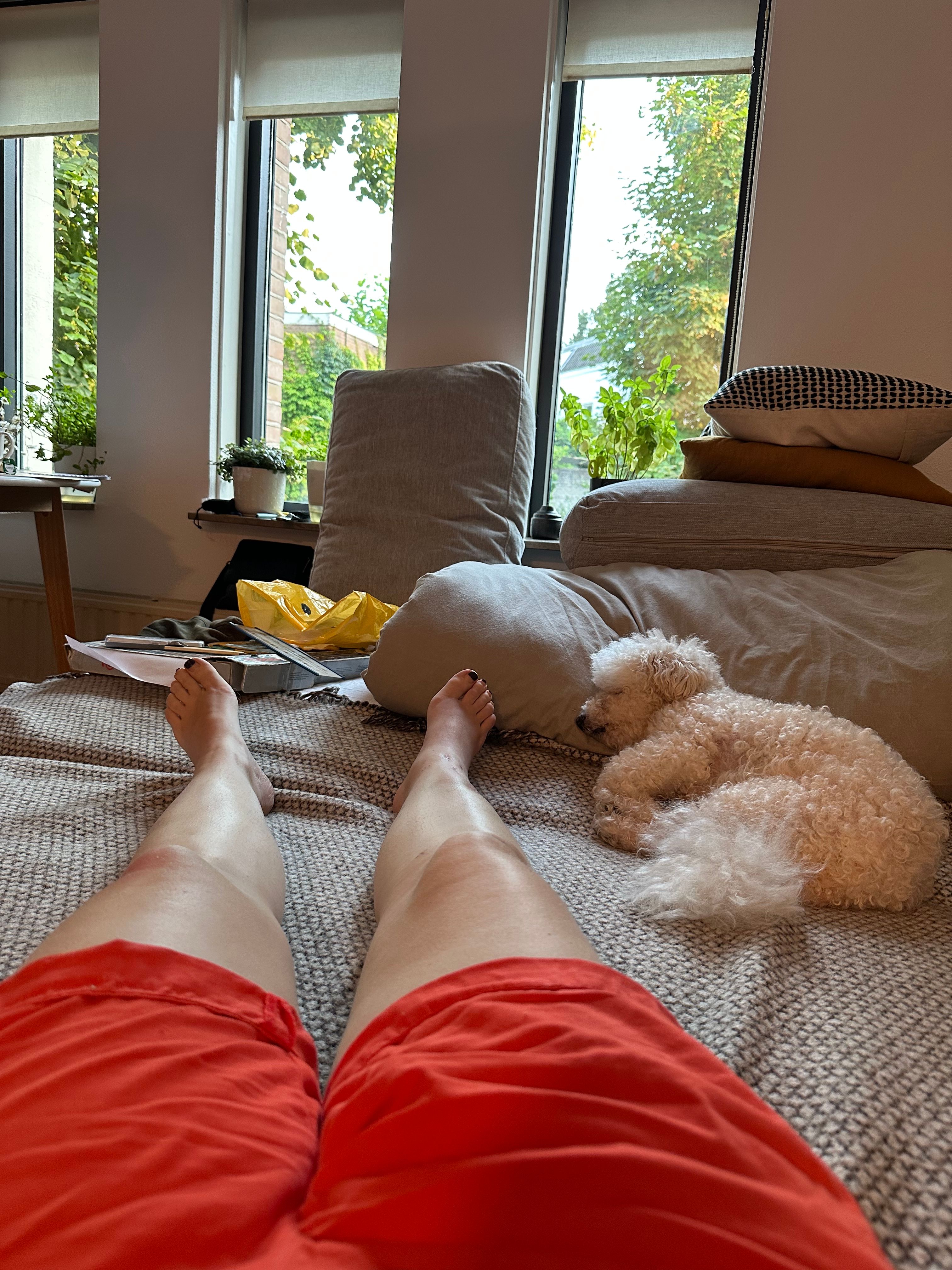 image-7