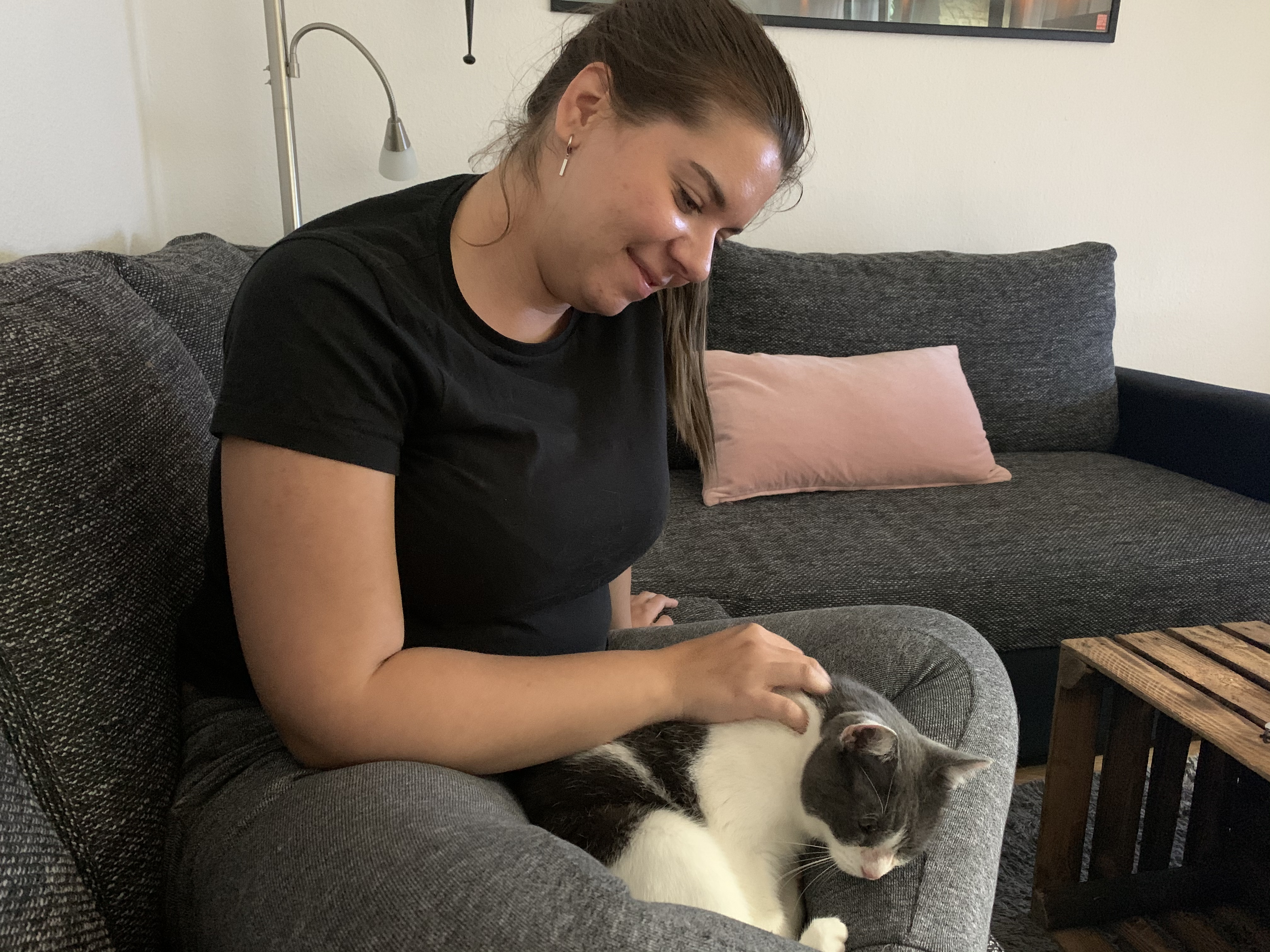image-6