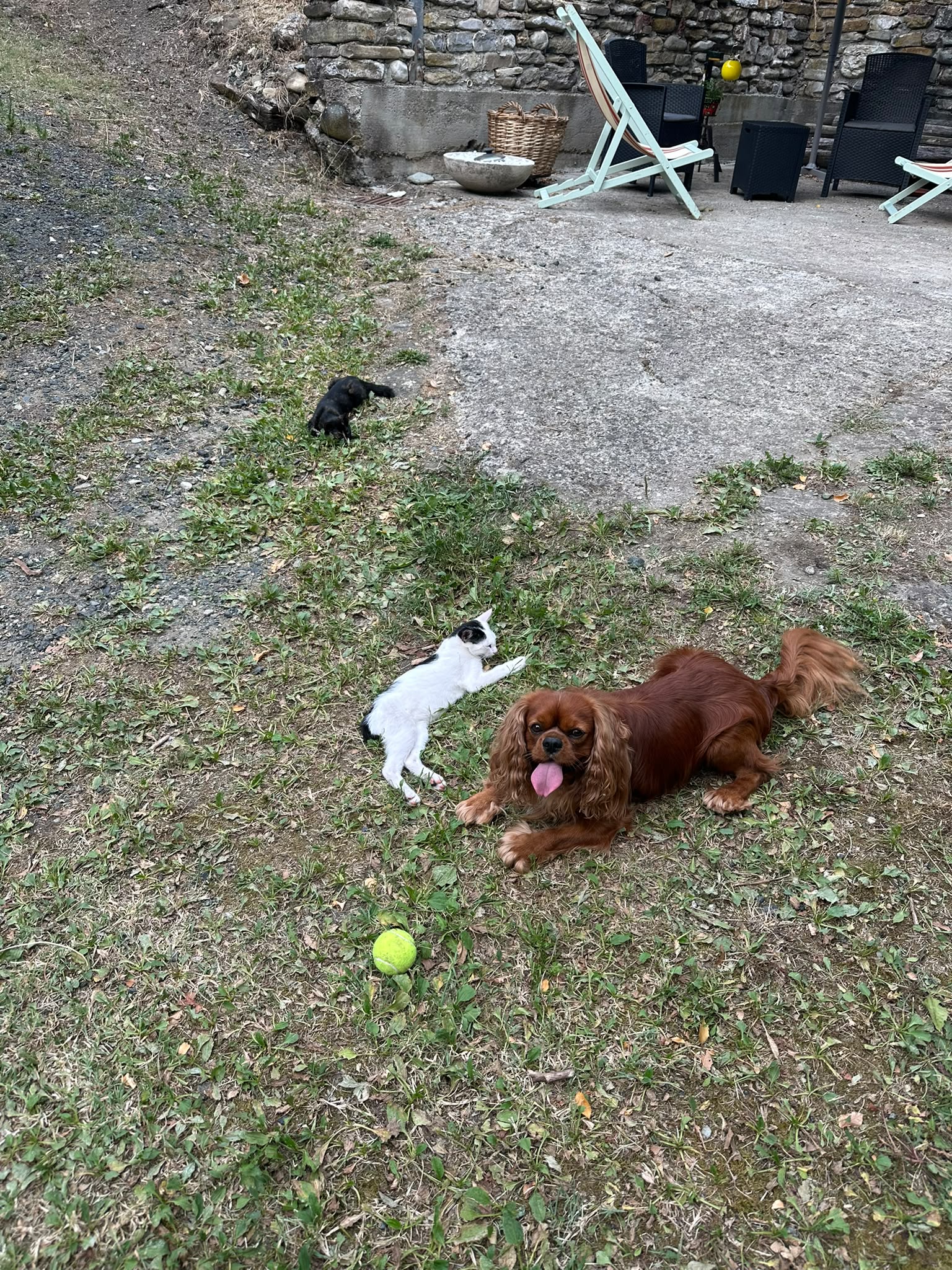 image-18