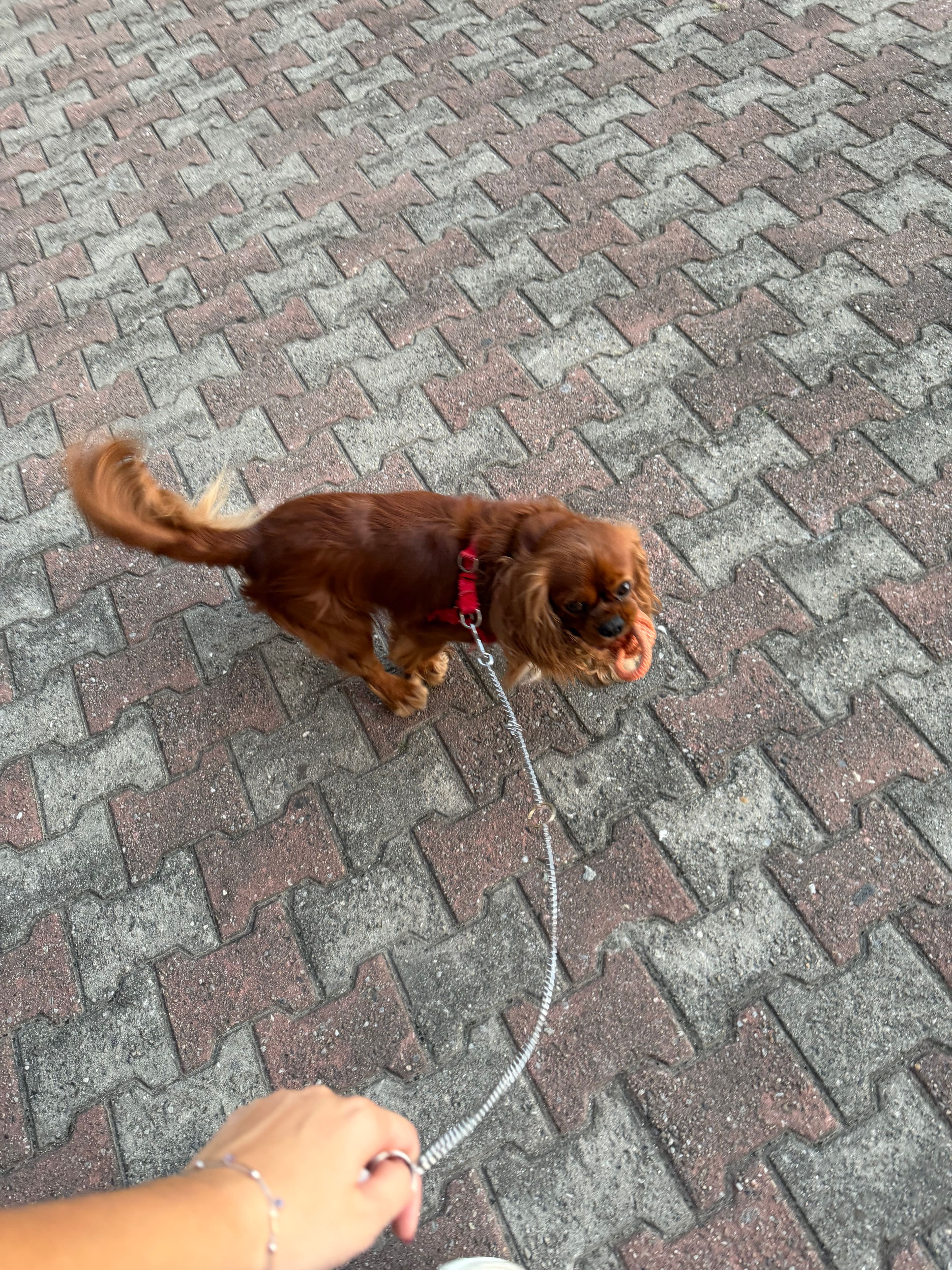 image-15