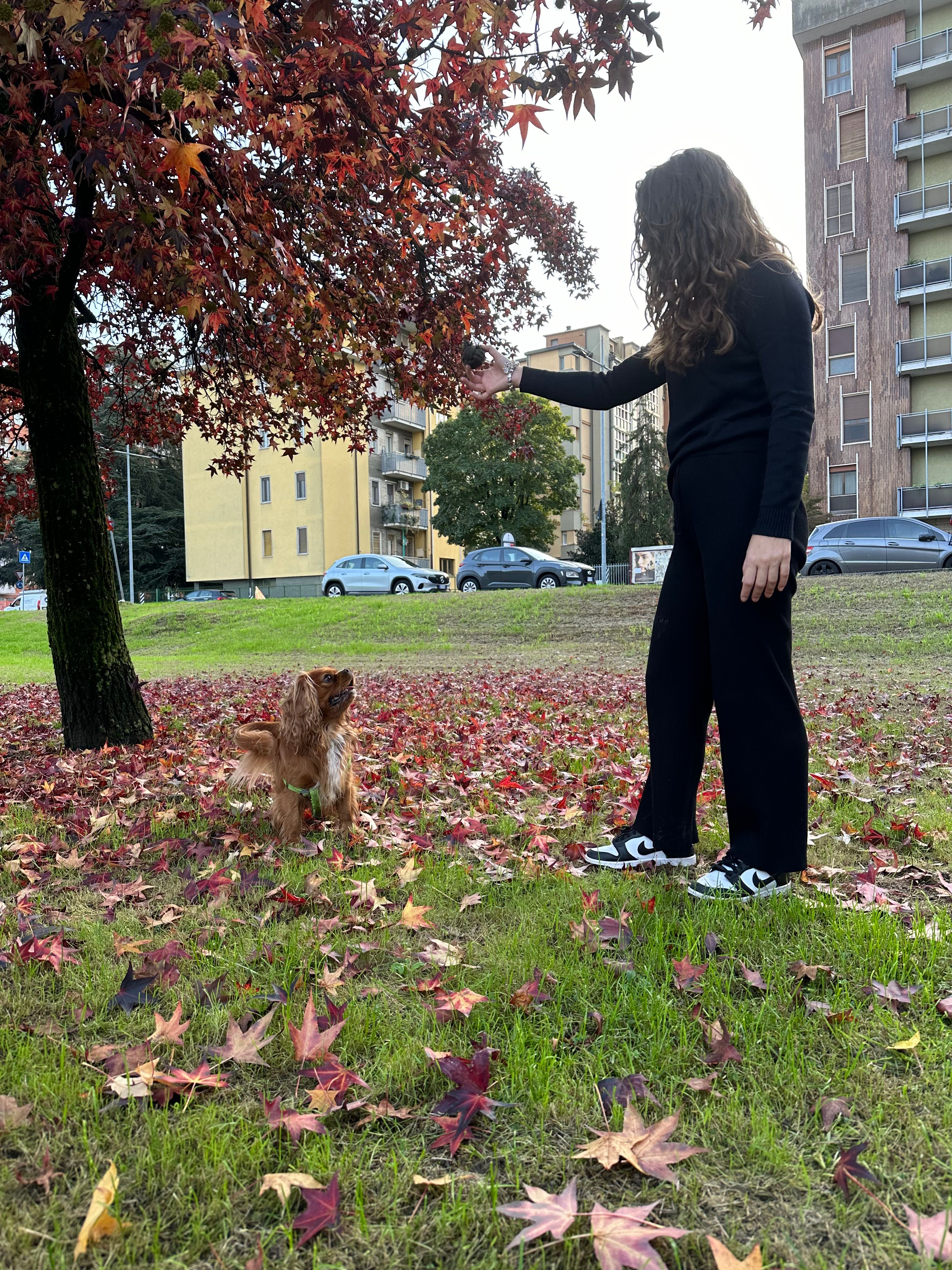 image-27