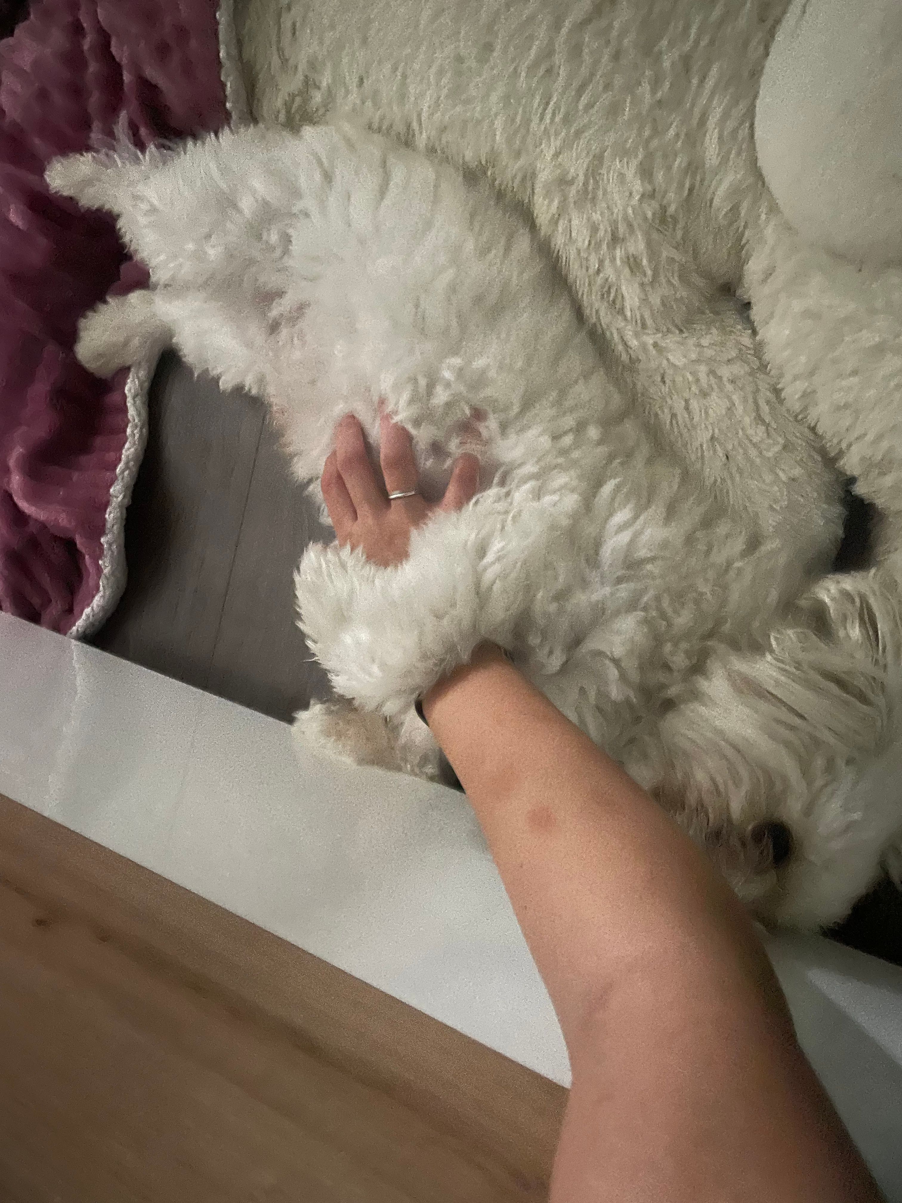 image-5