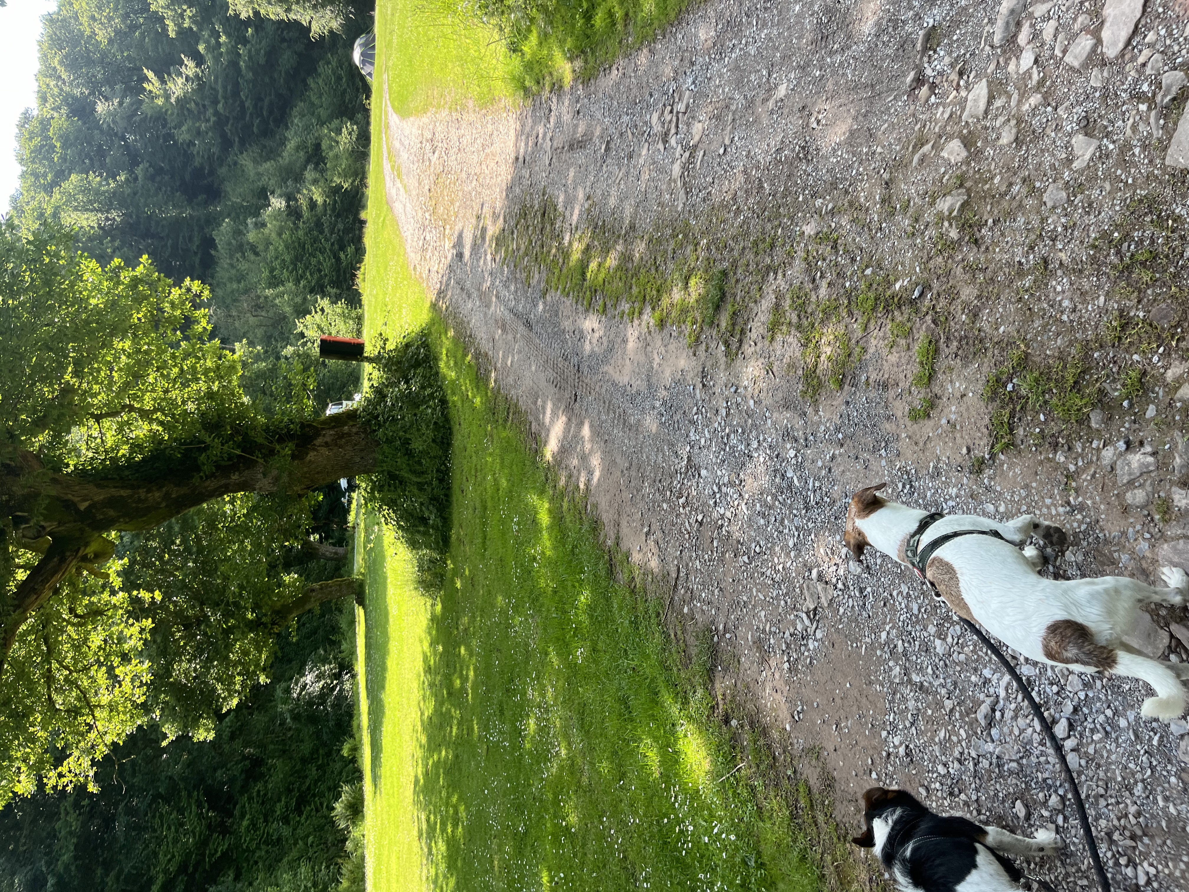 image-14
