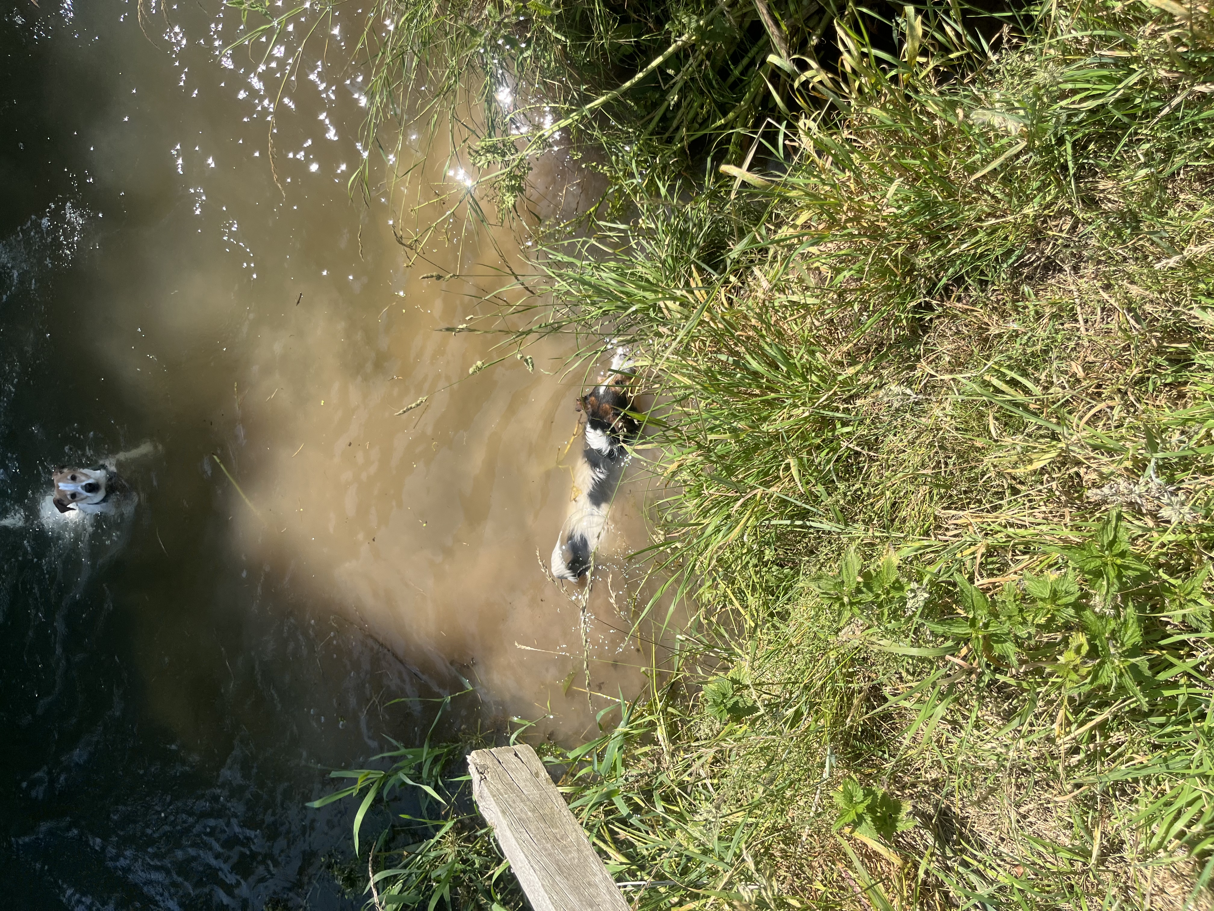 image-13