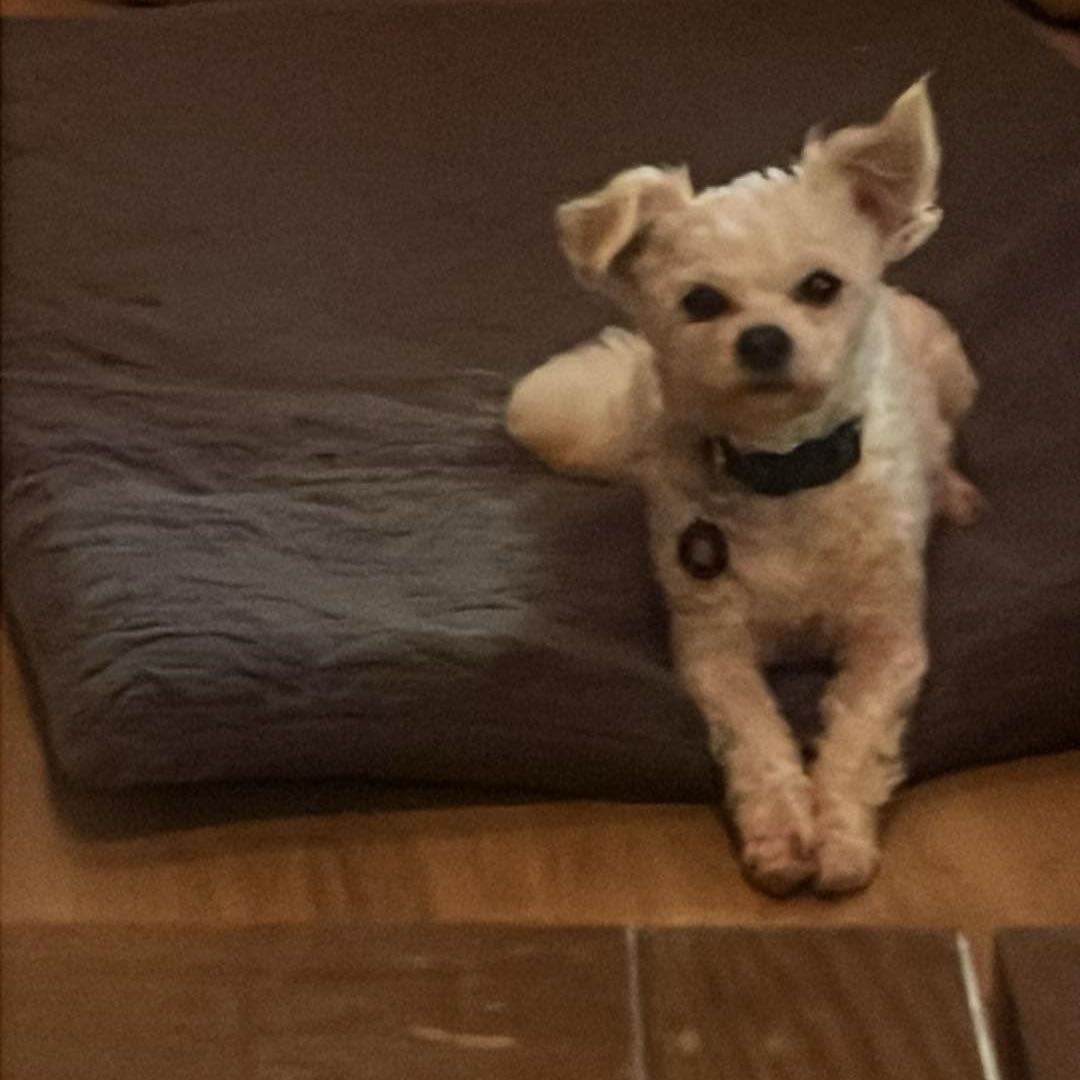 max