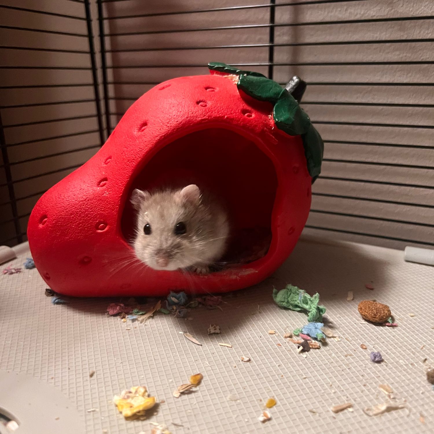 pepperoni 