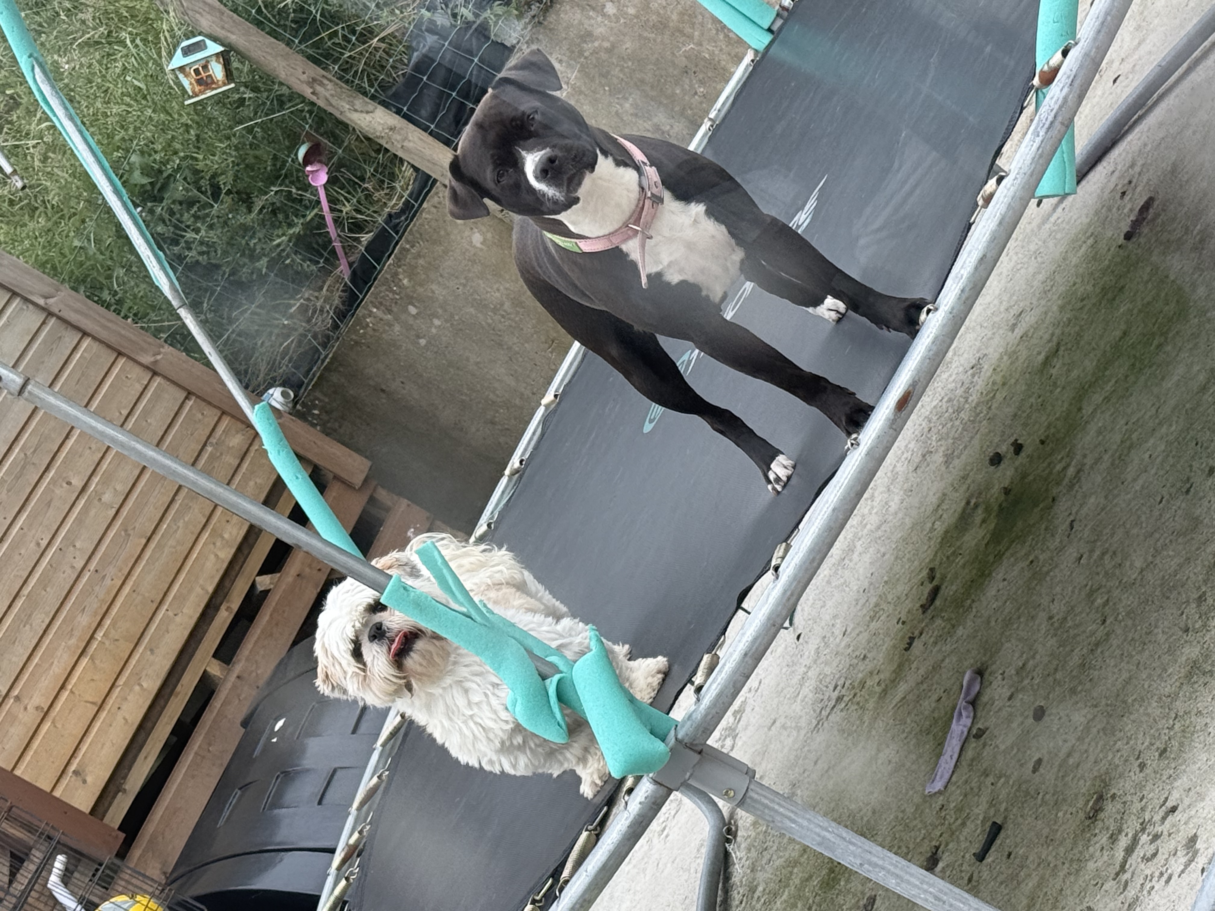 image-16