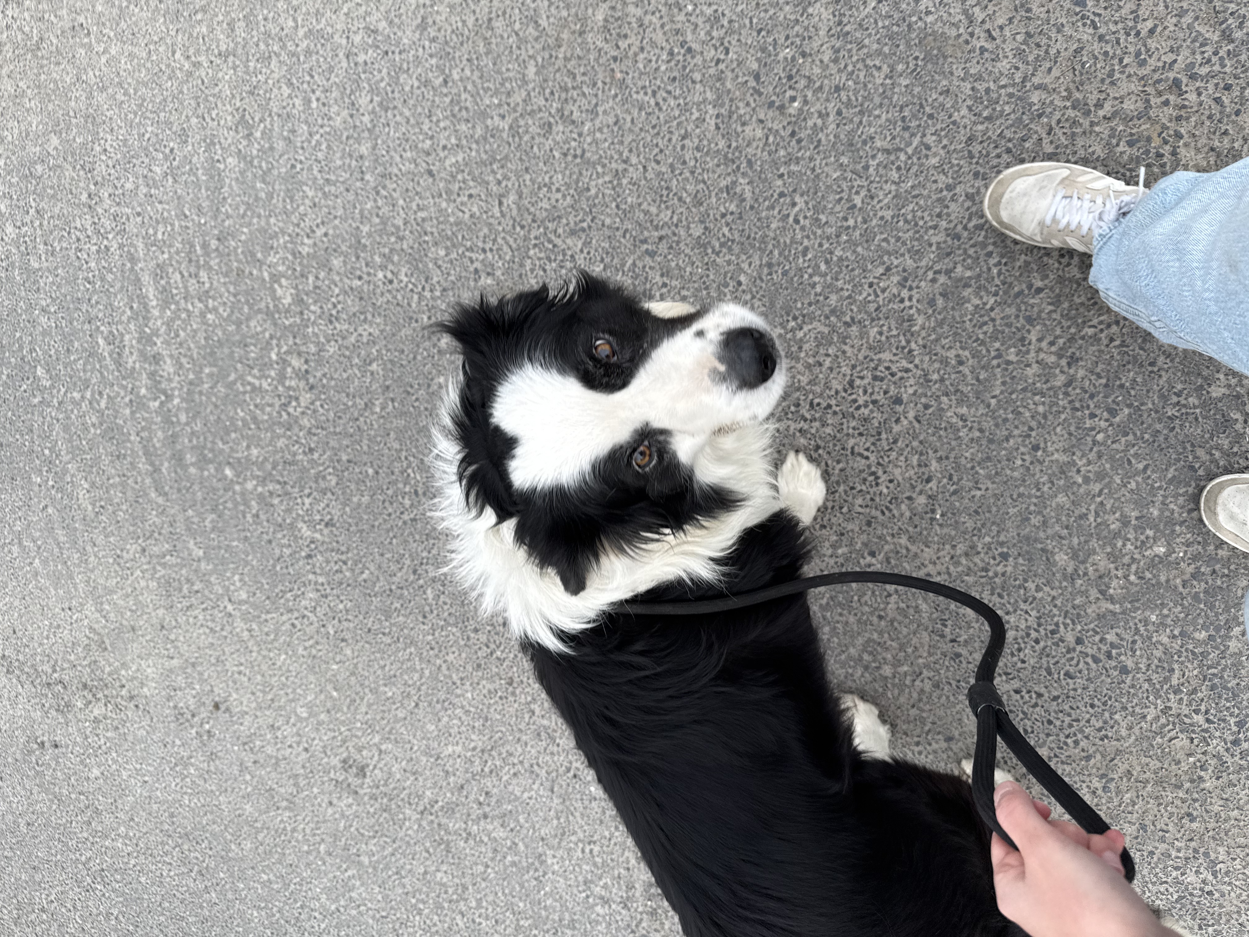 image-5