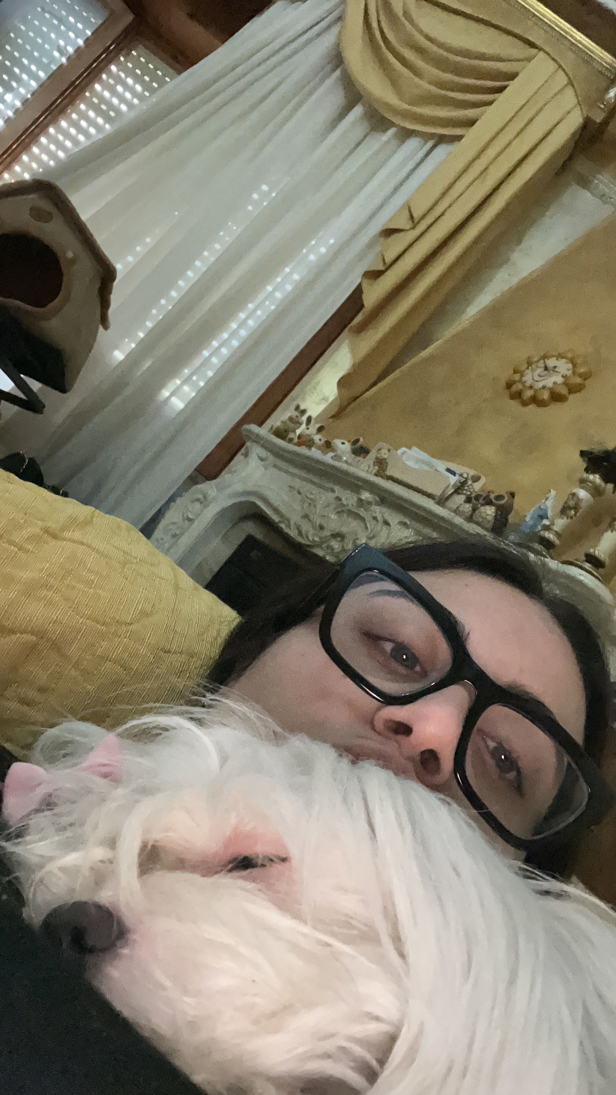 image-8
