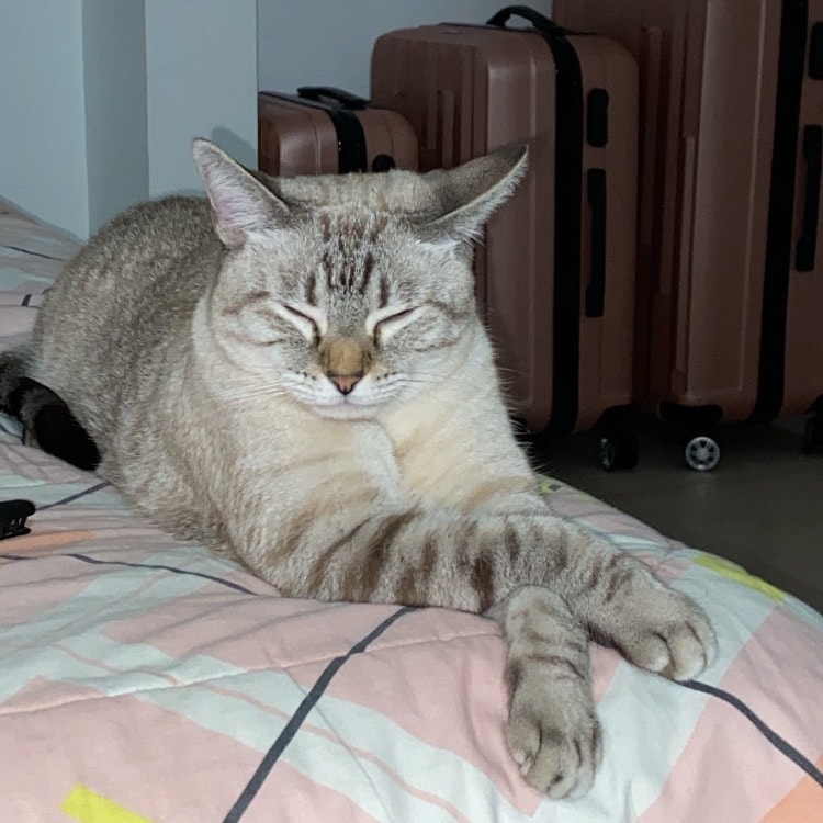 Ramón 