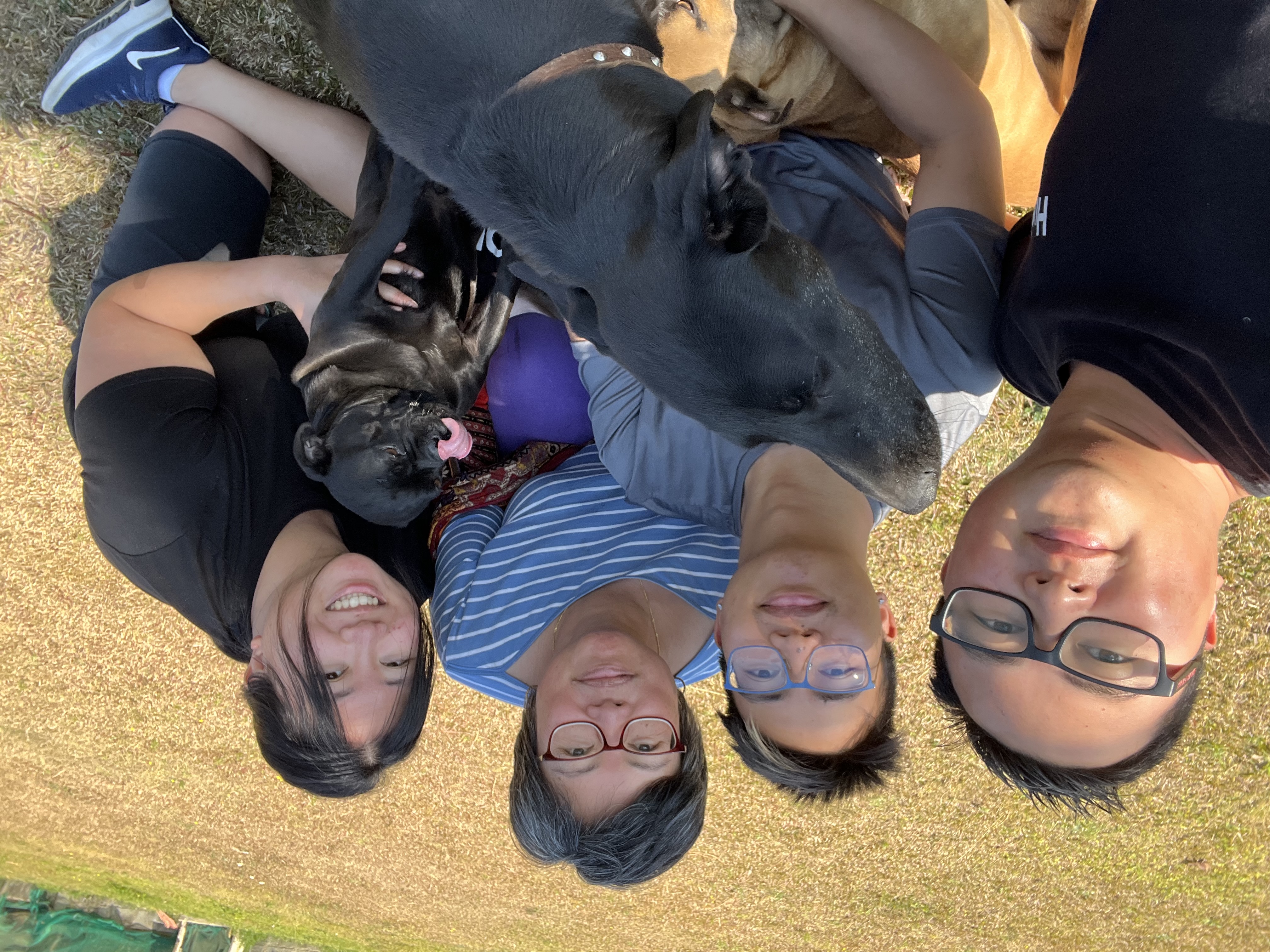 image-3