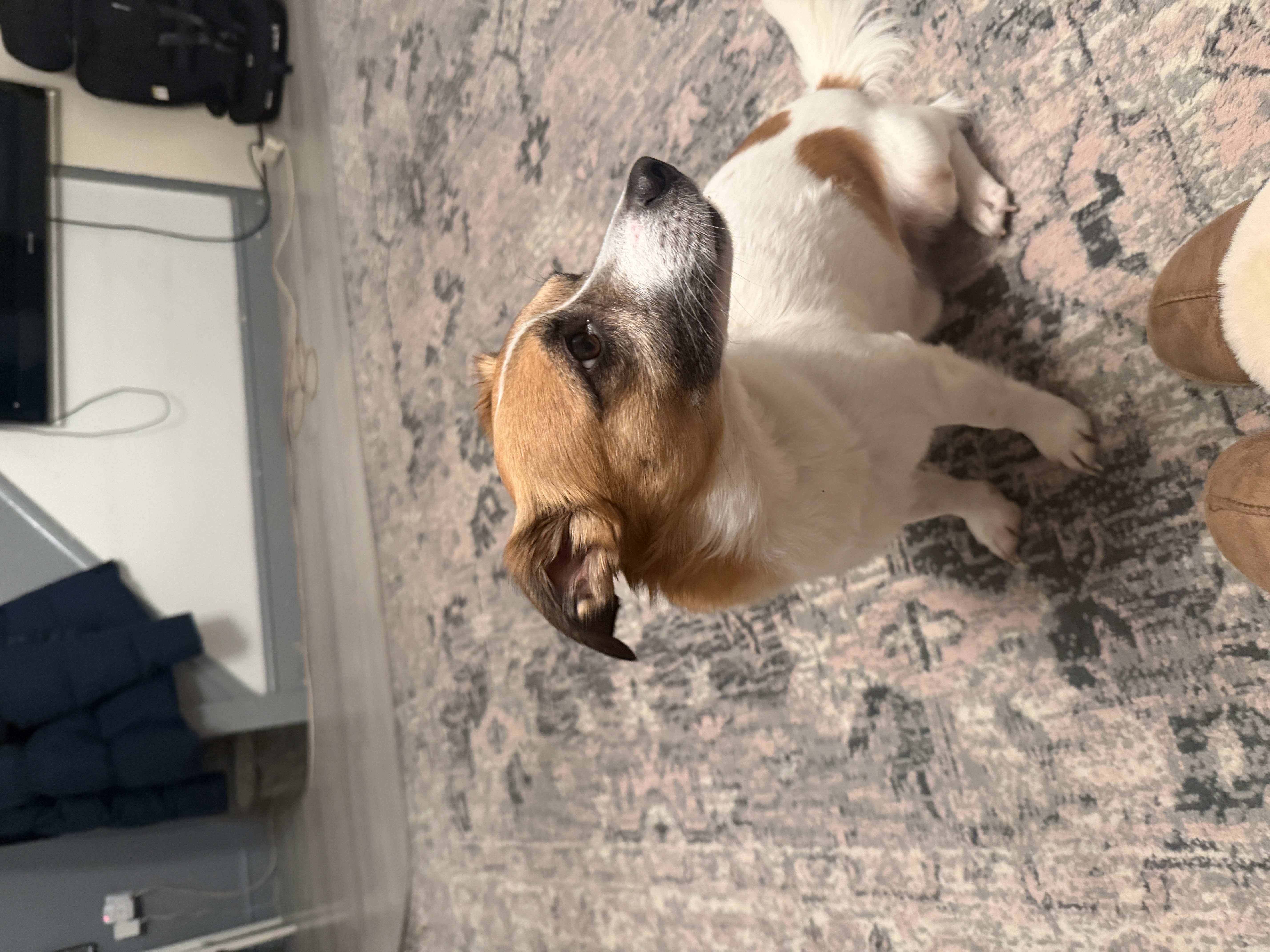 image-8