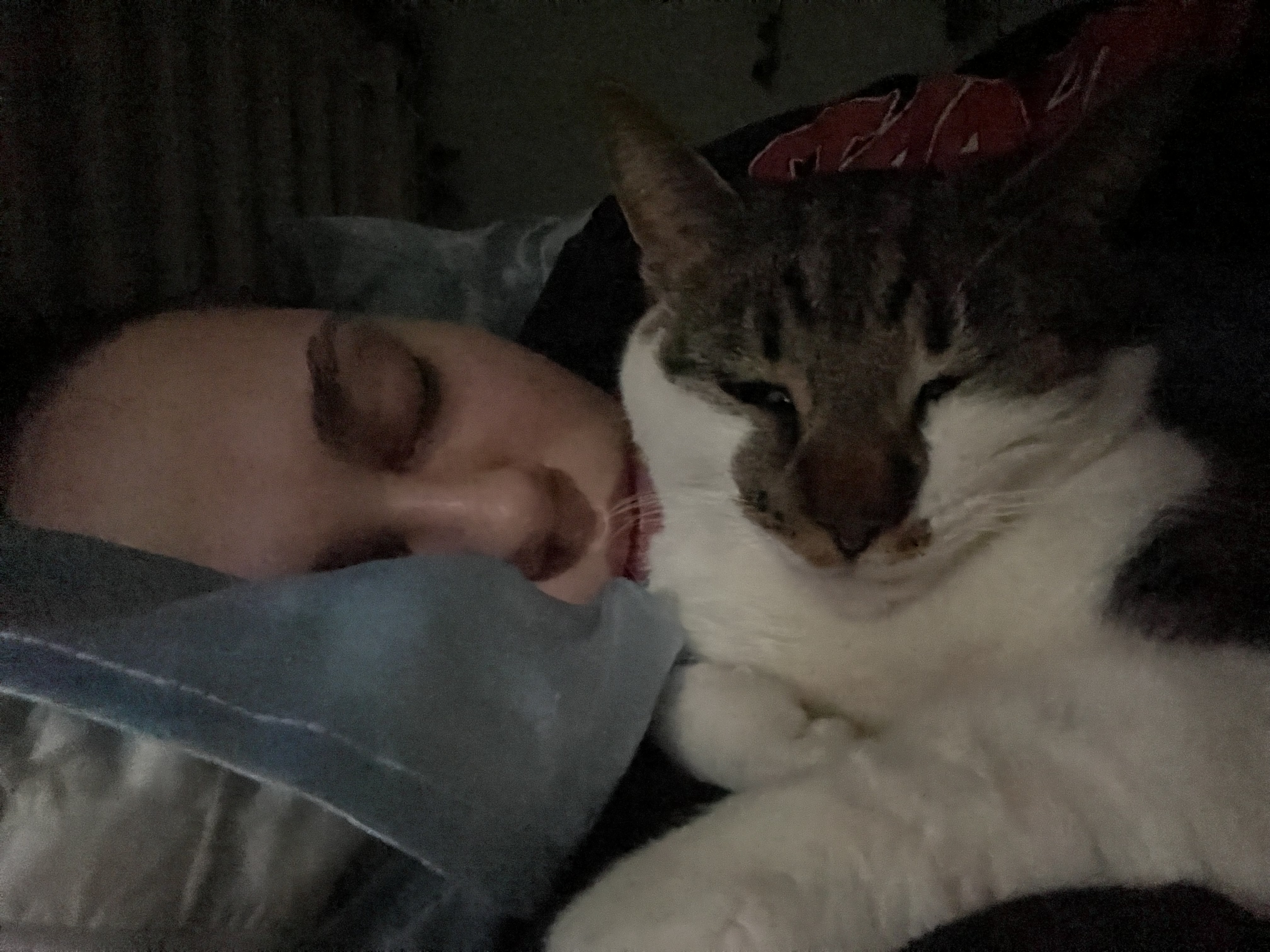 image-6