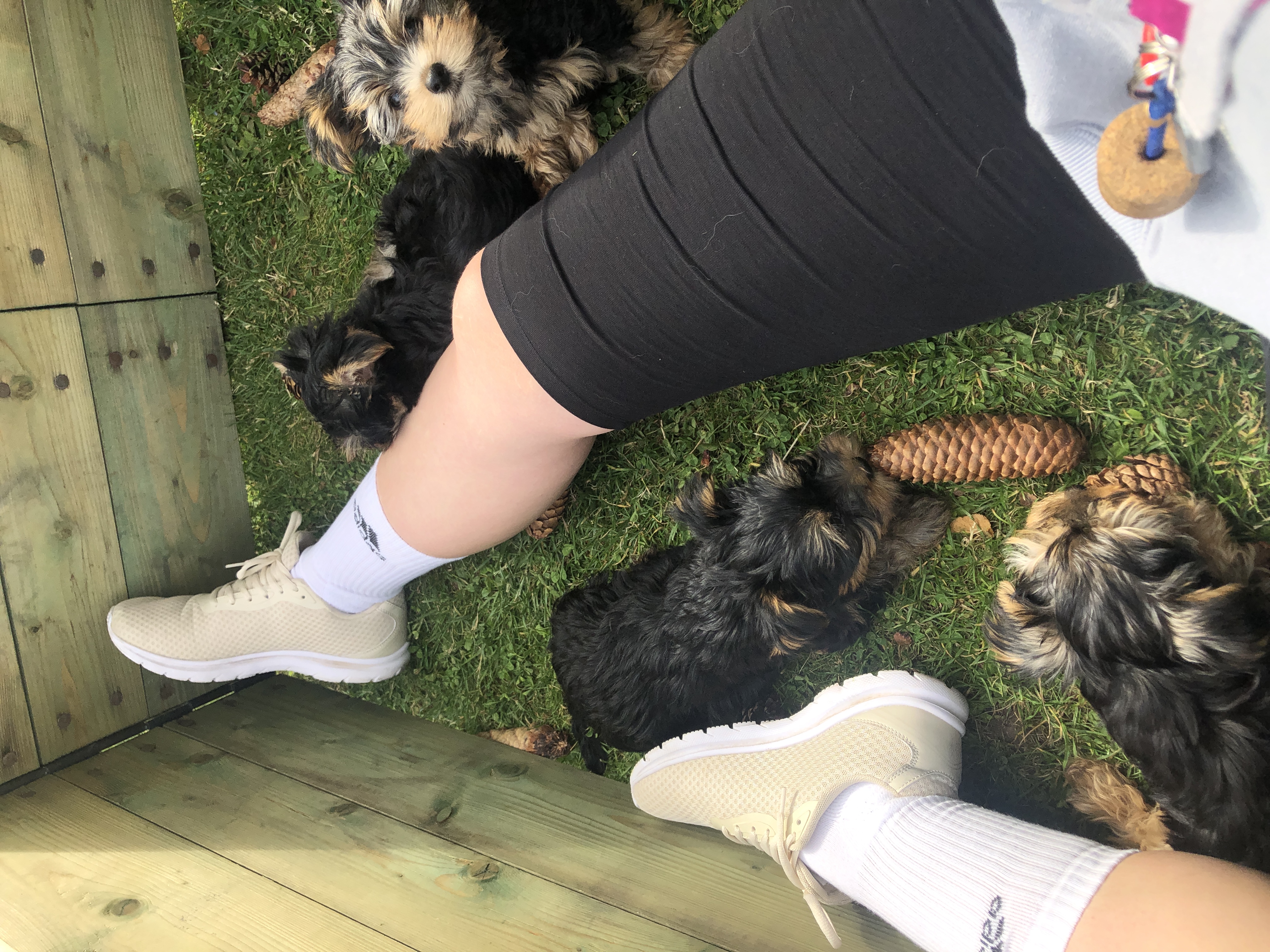 image-8