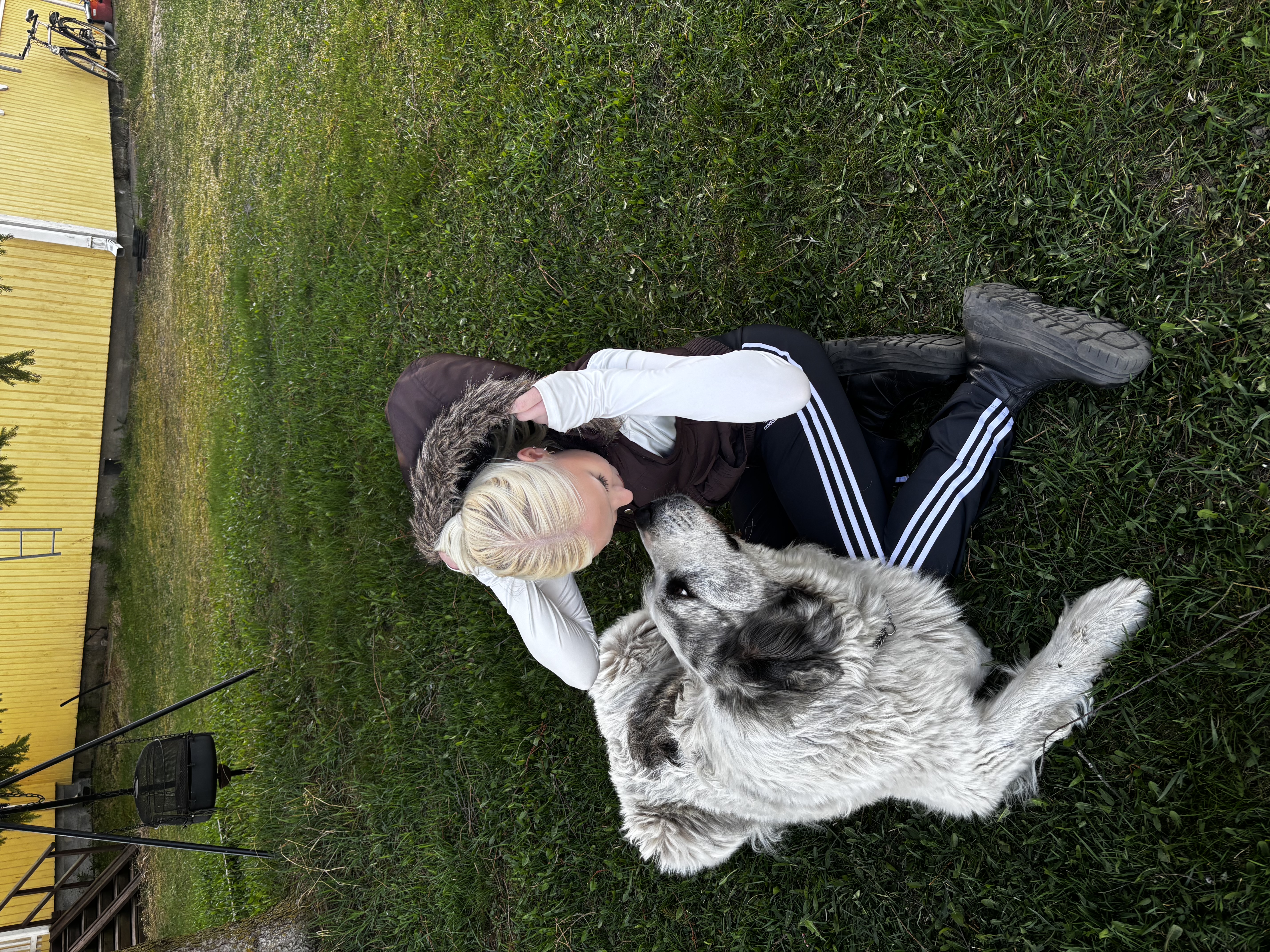 image-2