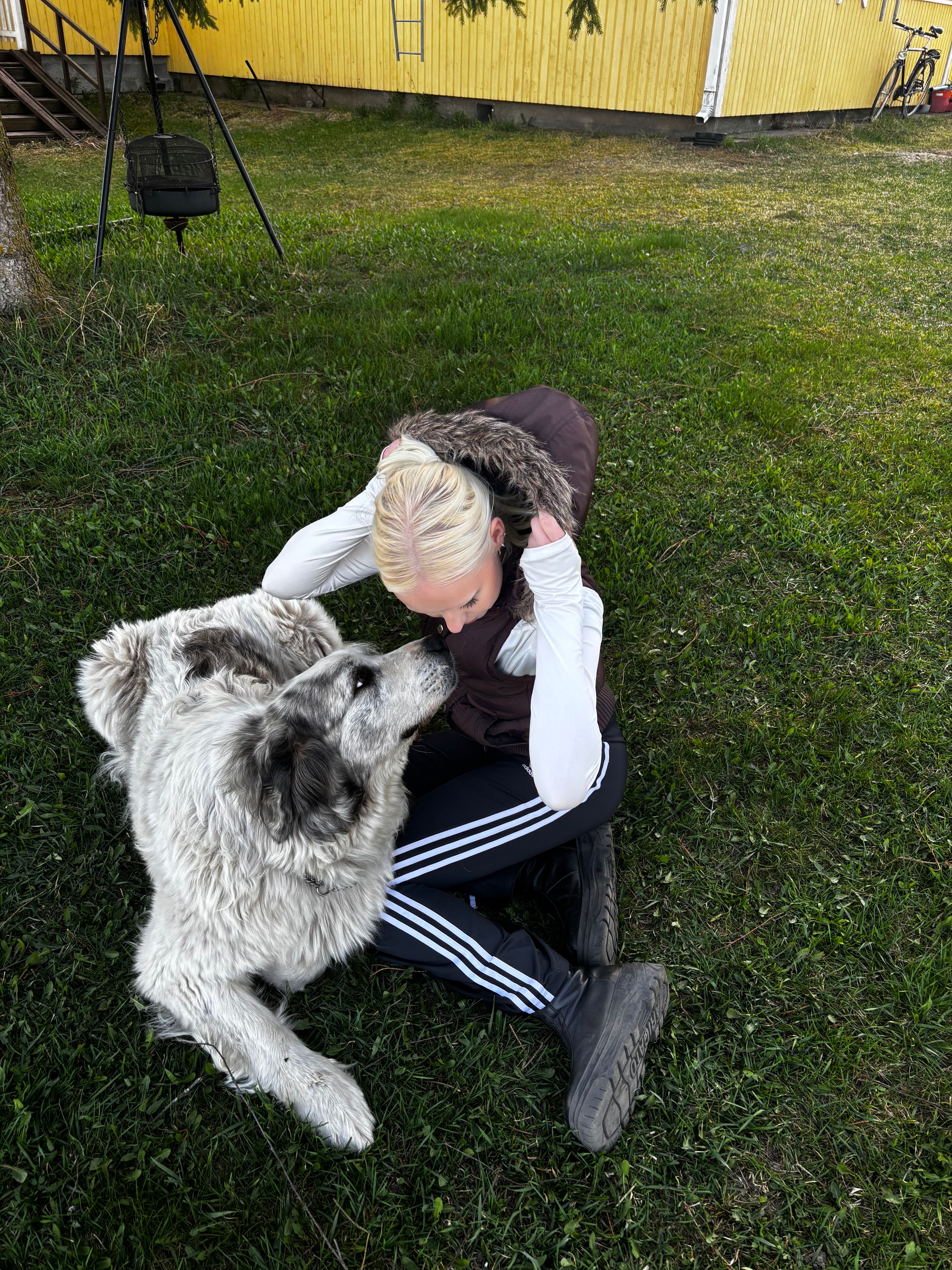 image-2